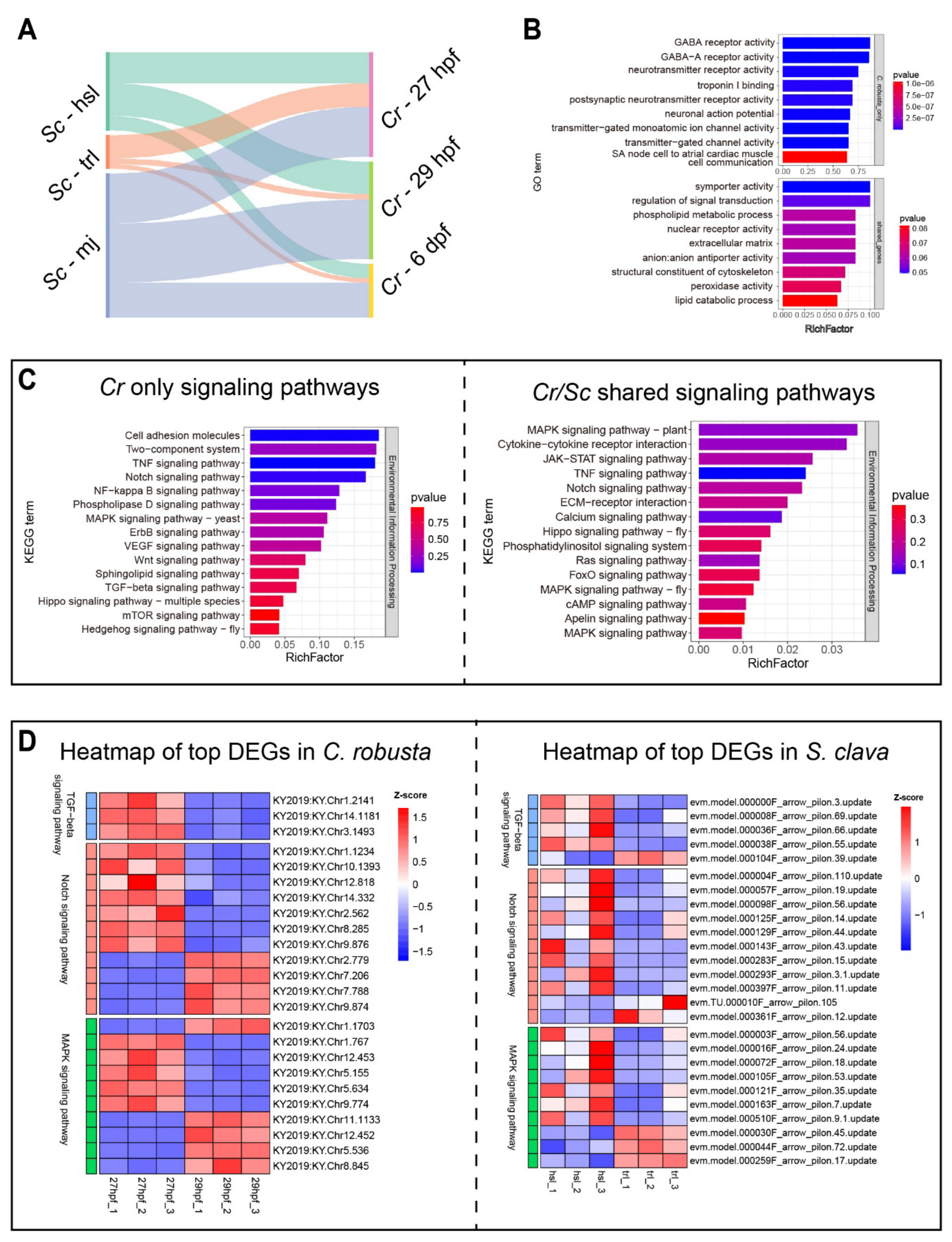 Cells 14 00546 g005 Cells 14 00546 g005