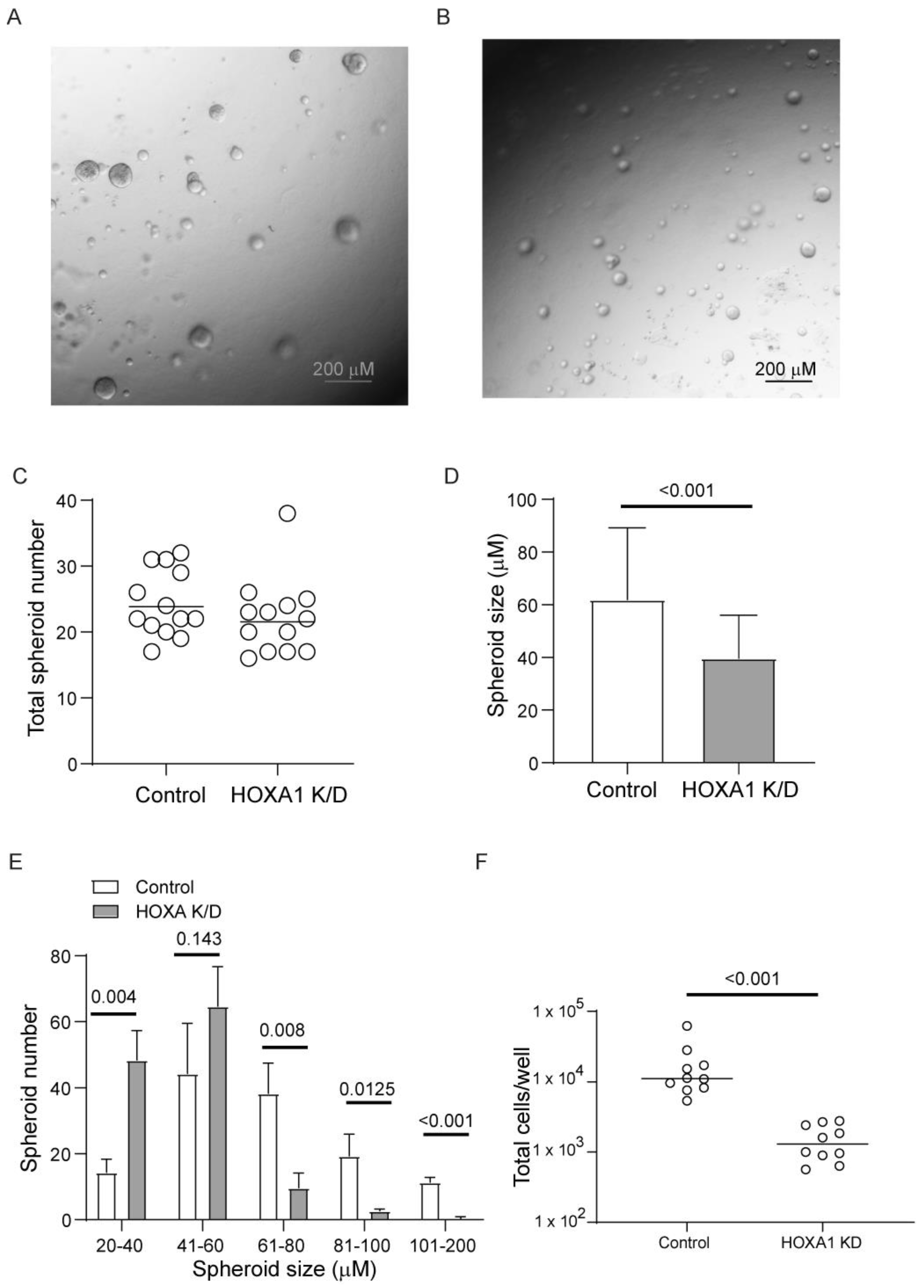 Cells 14 00549 g002 Cells 14 00549 g002