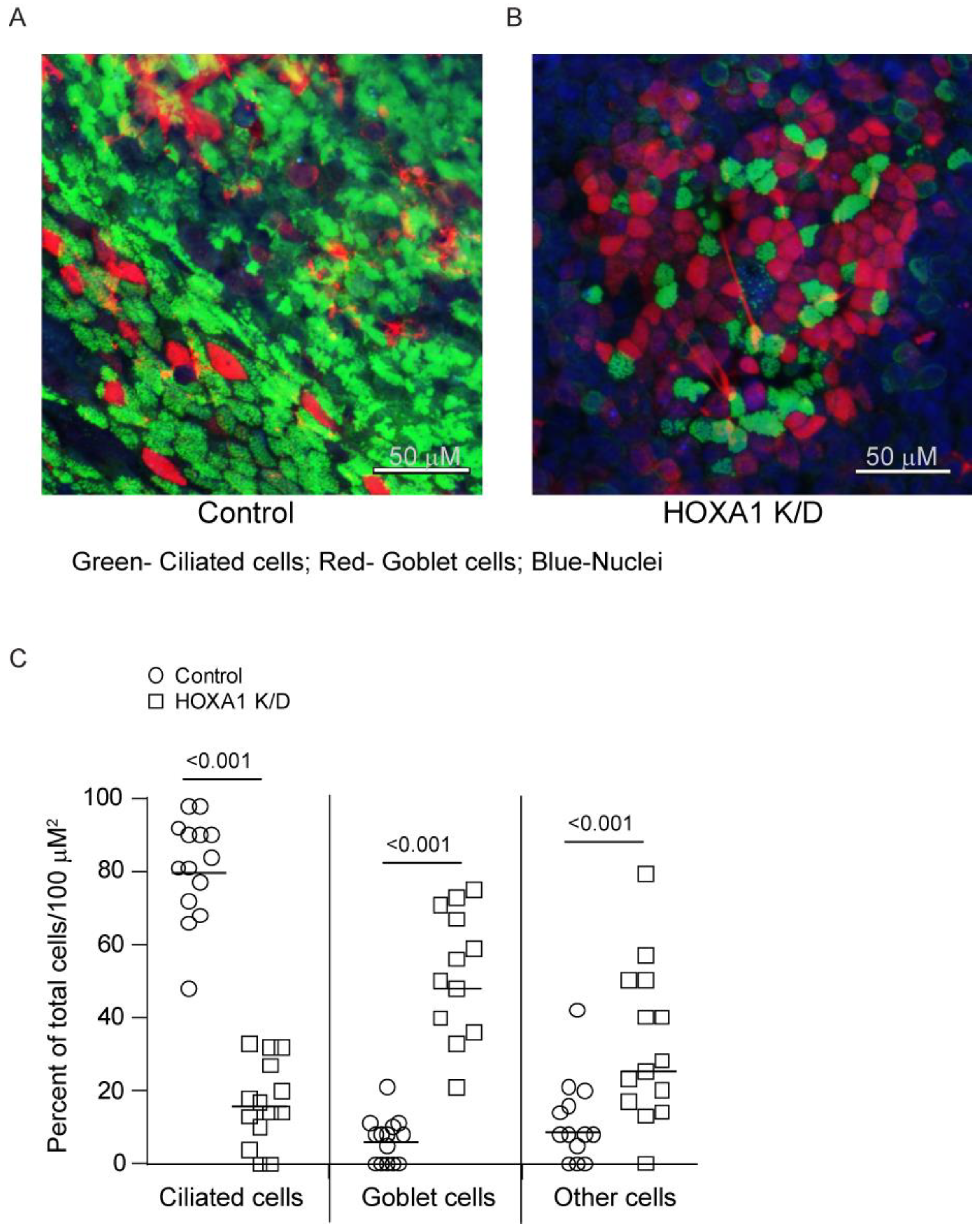 Cells 14 00549 g003 Cells 14 00549 g003