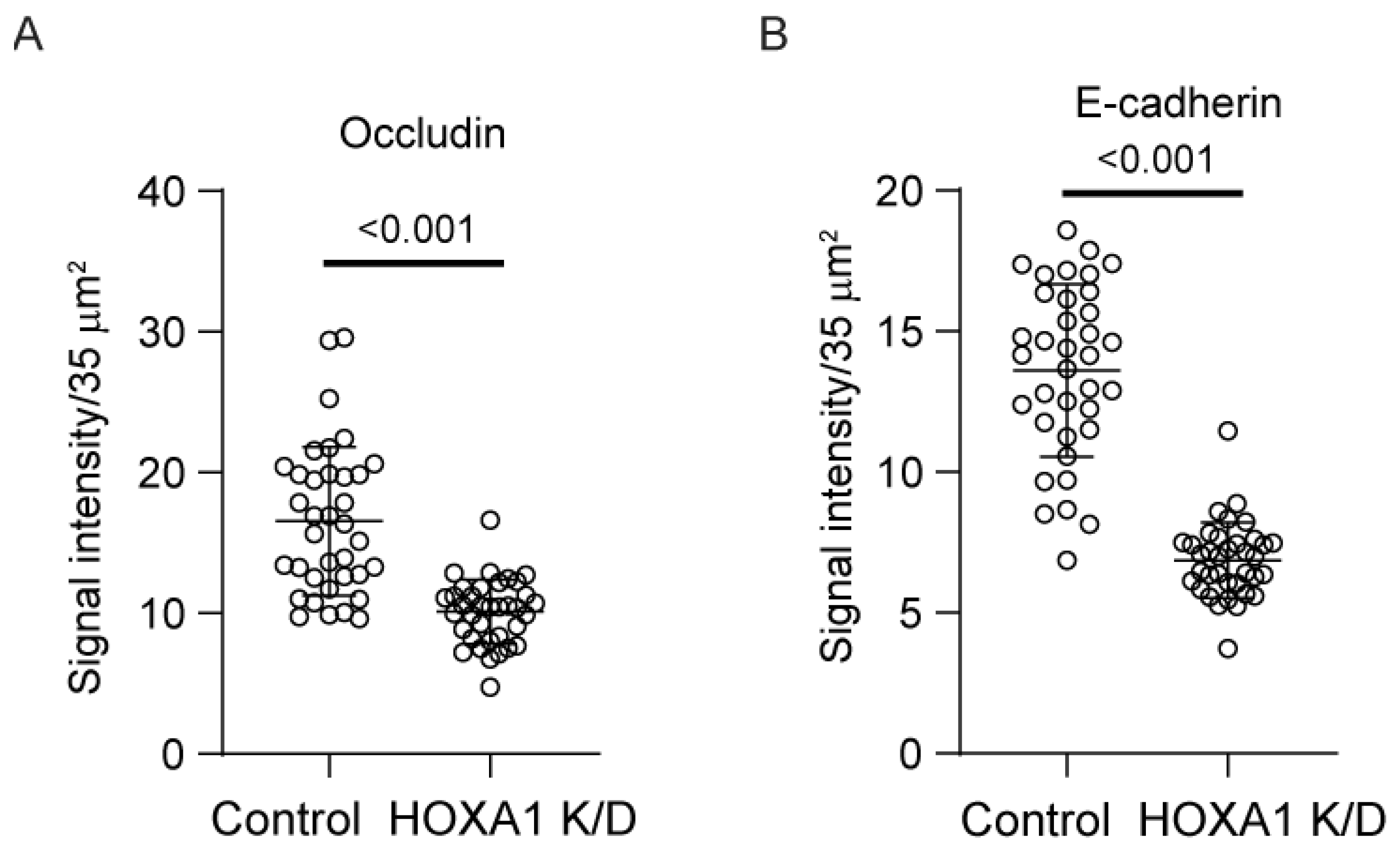 Cells 14 00549 g006 Cells 14 00549 g006