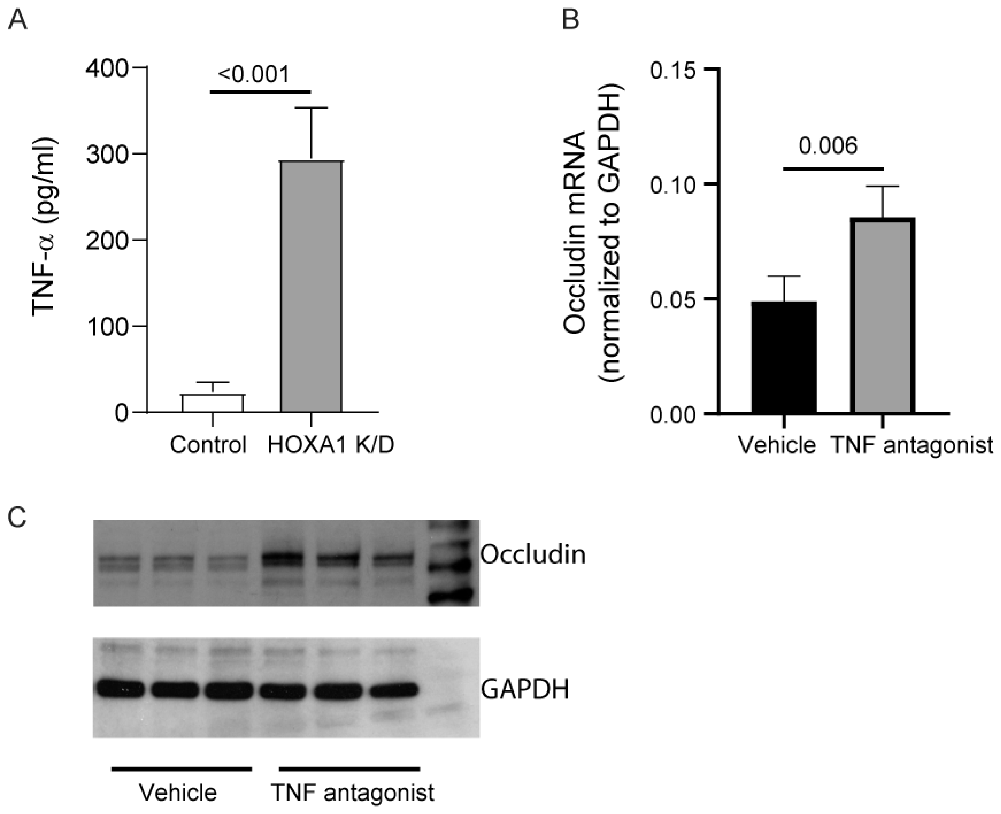 Cells 14 00549 g008 Cells 14 00549 g008