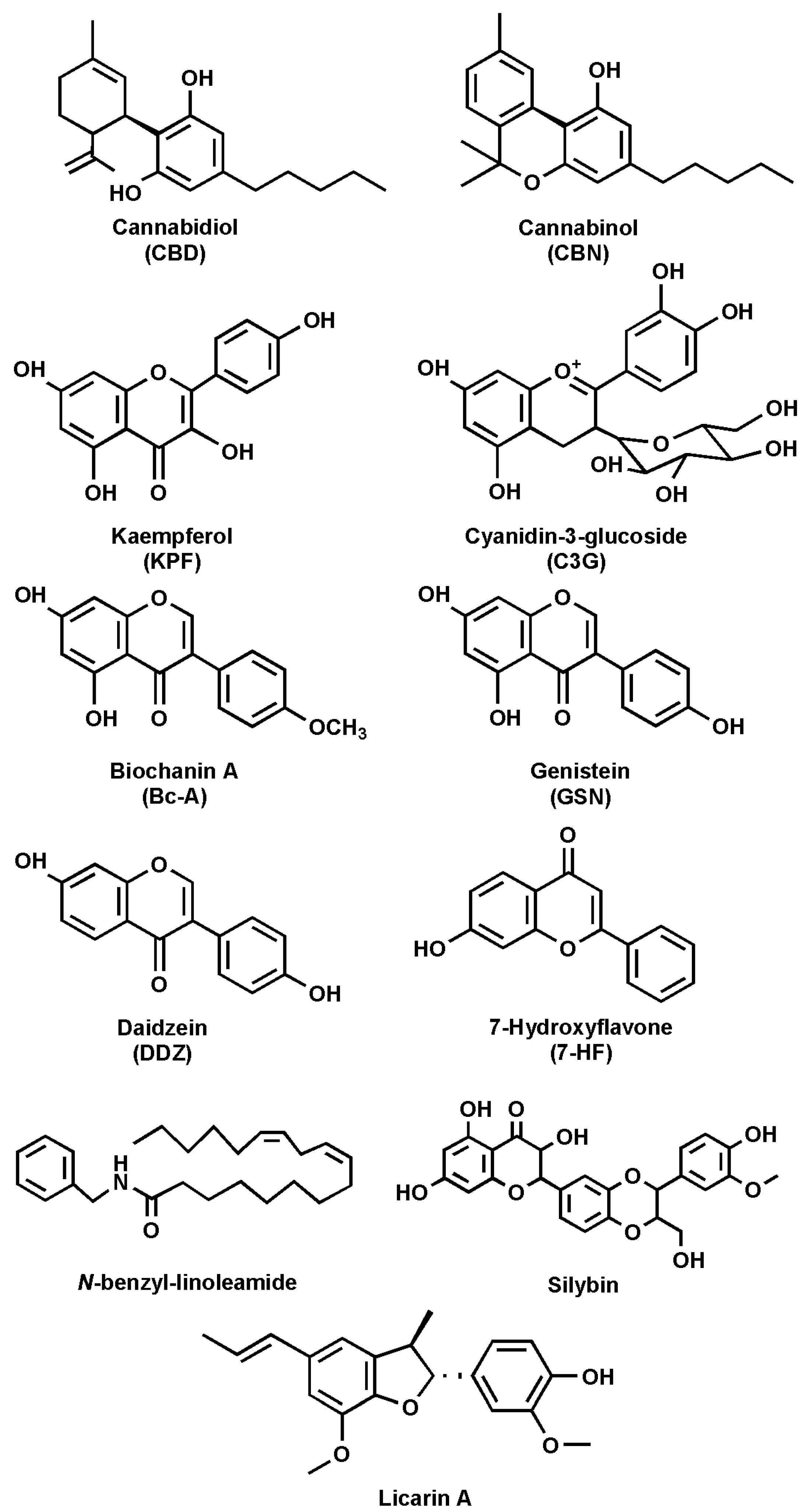 Cells 14 00551 g002 Cells 14 00551 g002
