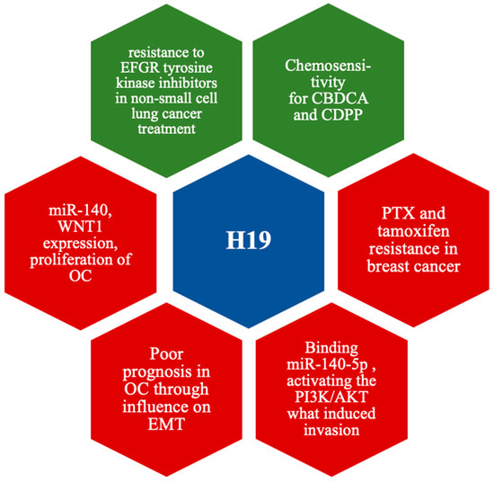 Latest Update on lncRNA in Epithelial Ovarian Cancer—A
