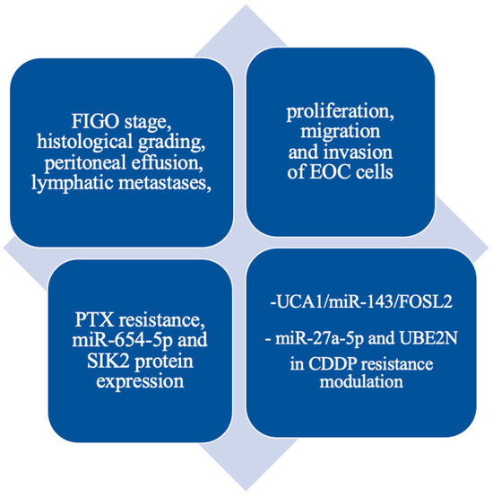 【人気投票 1~37位】ハイブランド人気ランキング！ Latest Update on lncRNA in Epithelial Ovarian Cancer—A アクセサリー