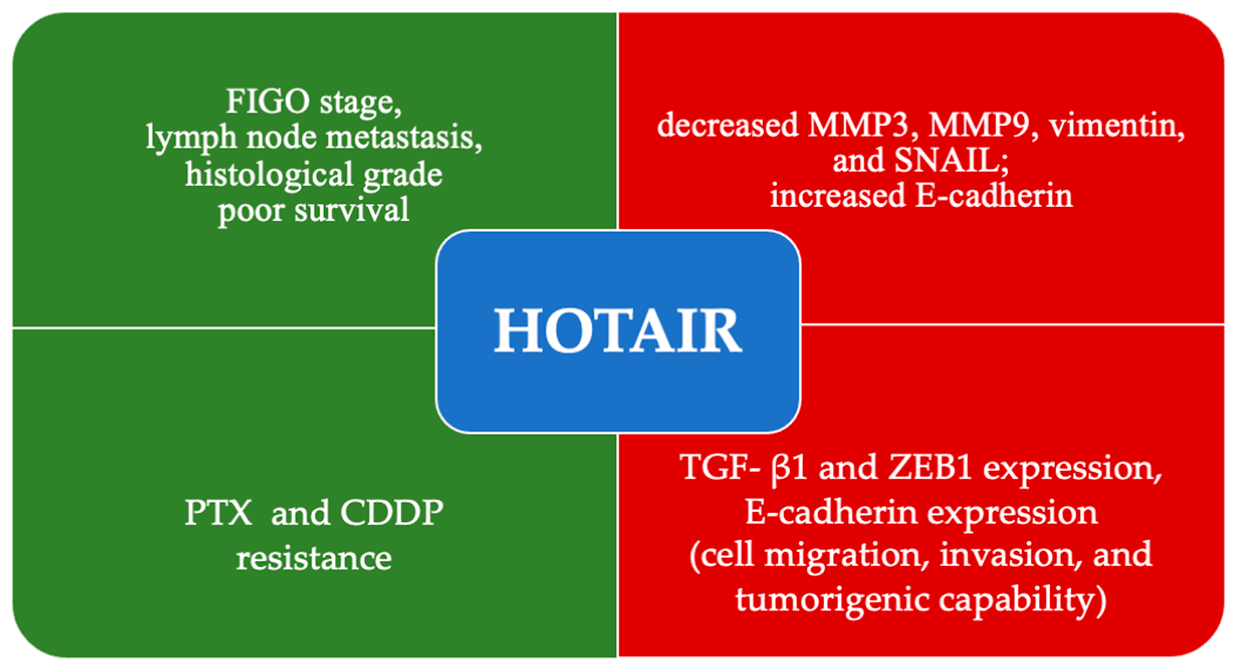 Latest Update on lncRNA in Epithelial Ovarian Cancer—A