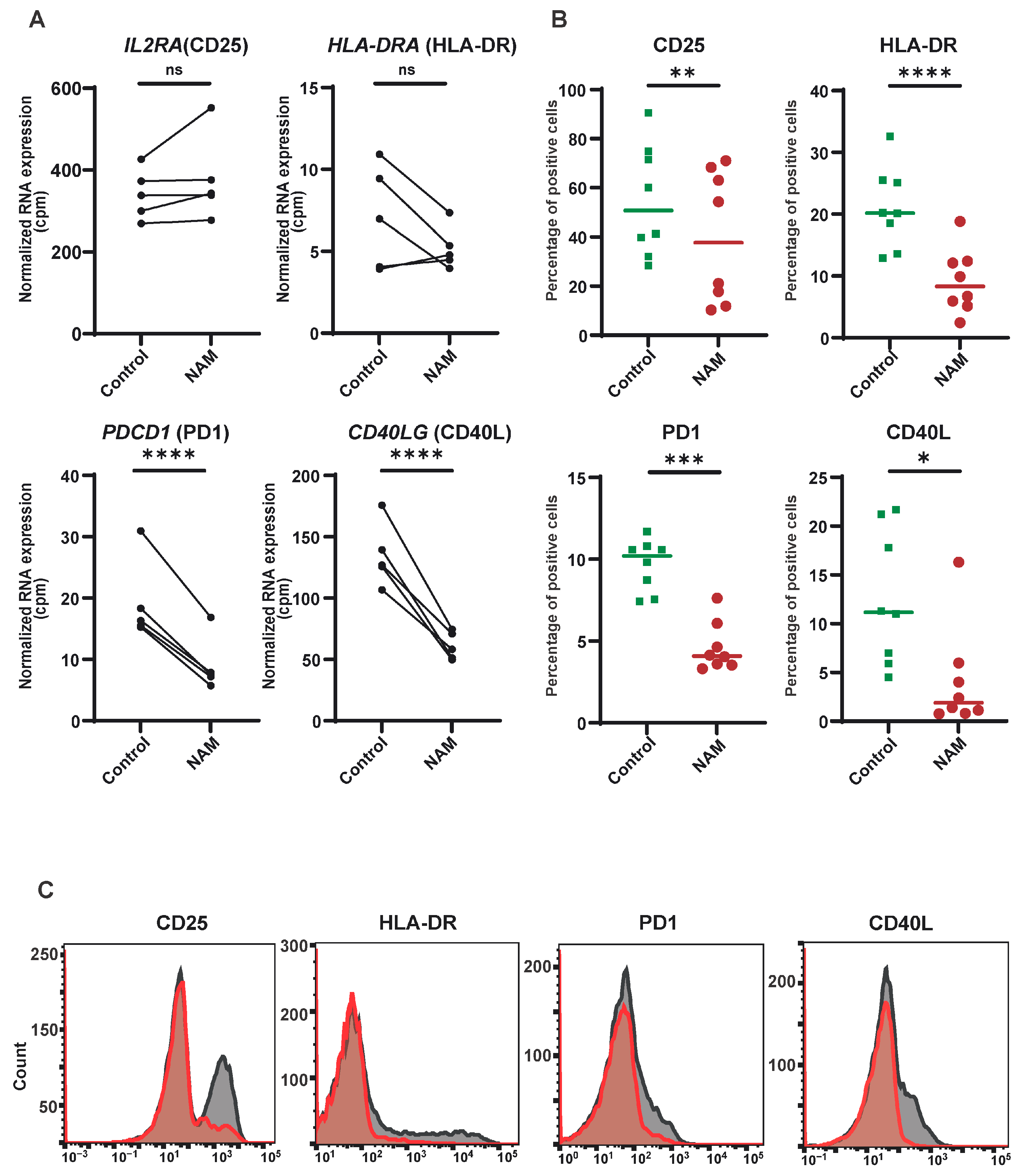 Cells 14 00560 g002 Cells 14 00560 g002