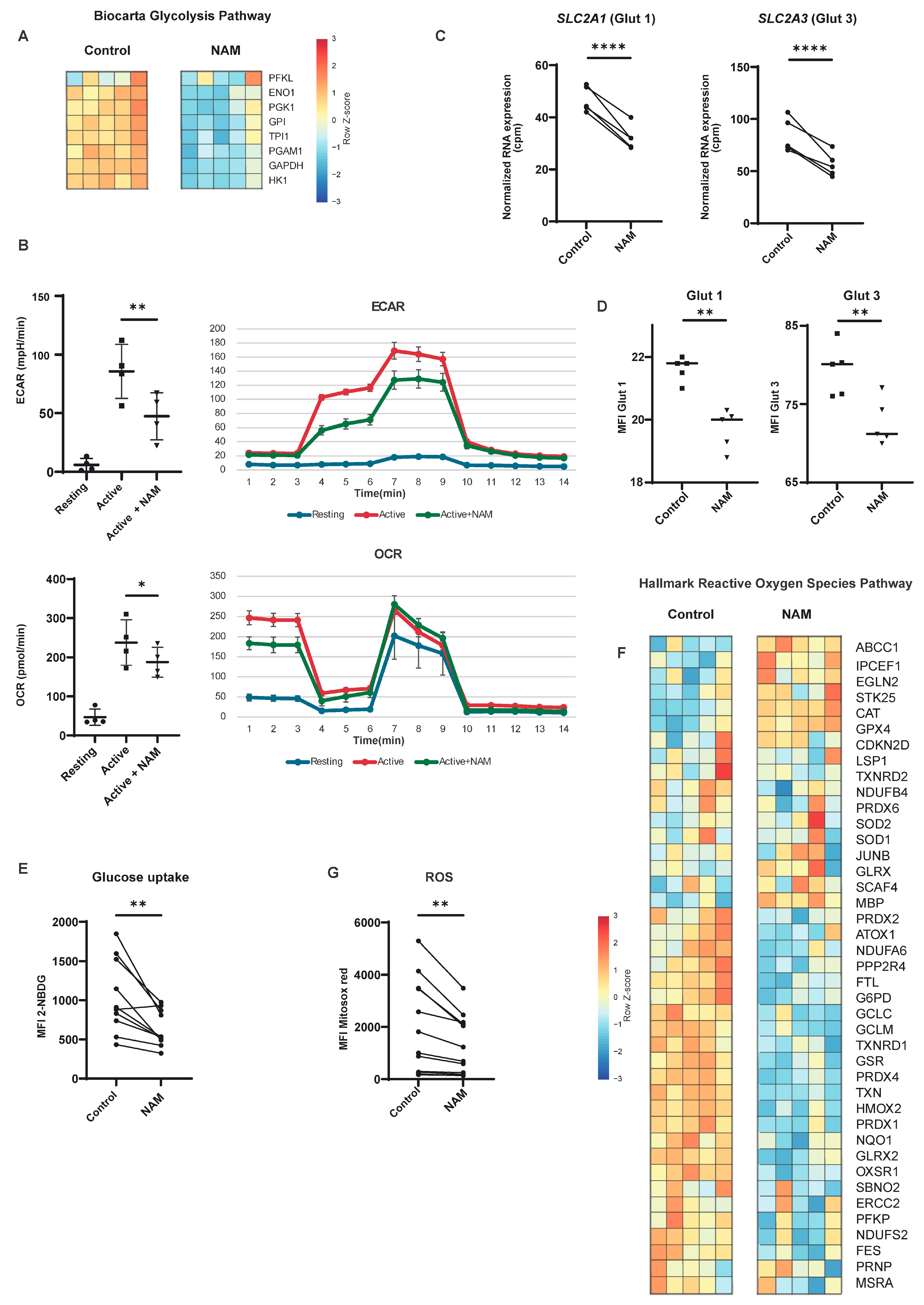 Cells 14 00560 g005 Cells 14 00560 g005
