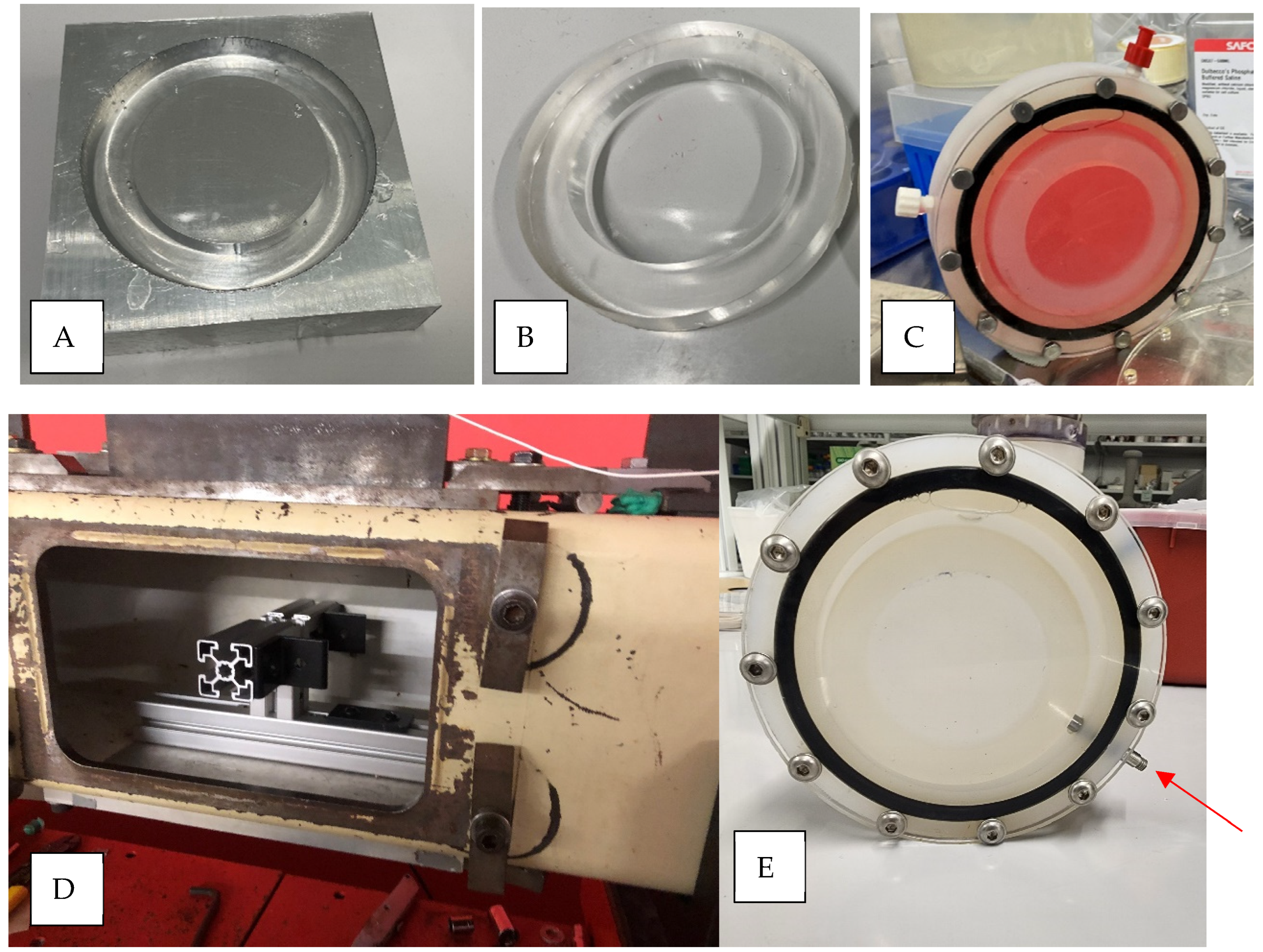 Cells 14 00563 g002 Cells 14 00563 g002