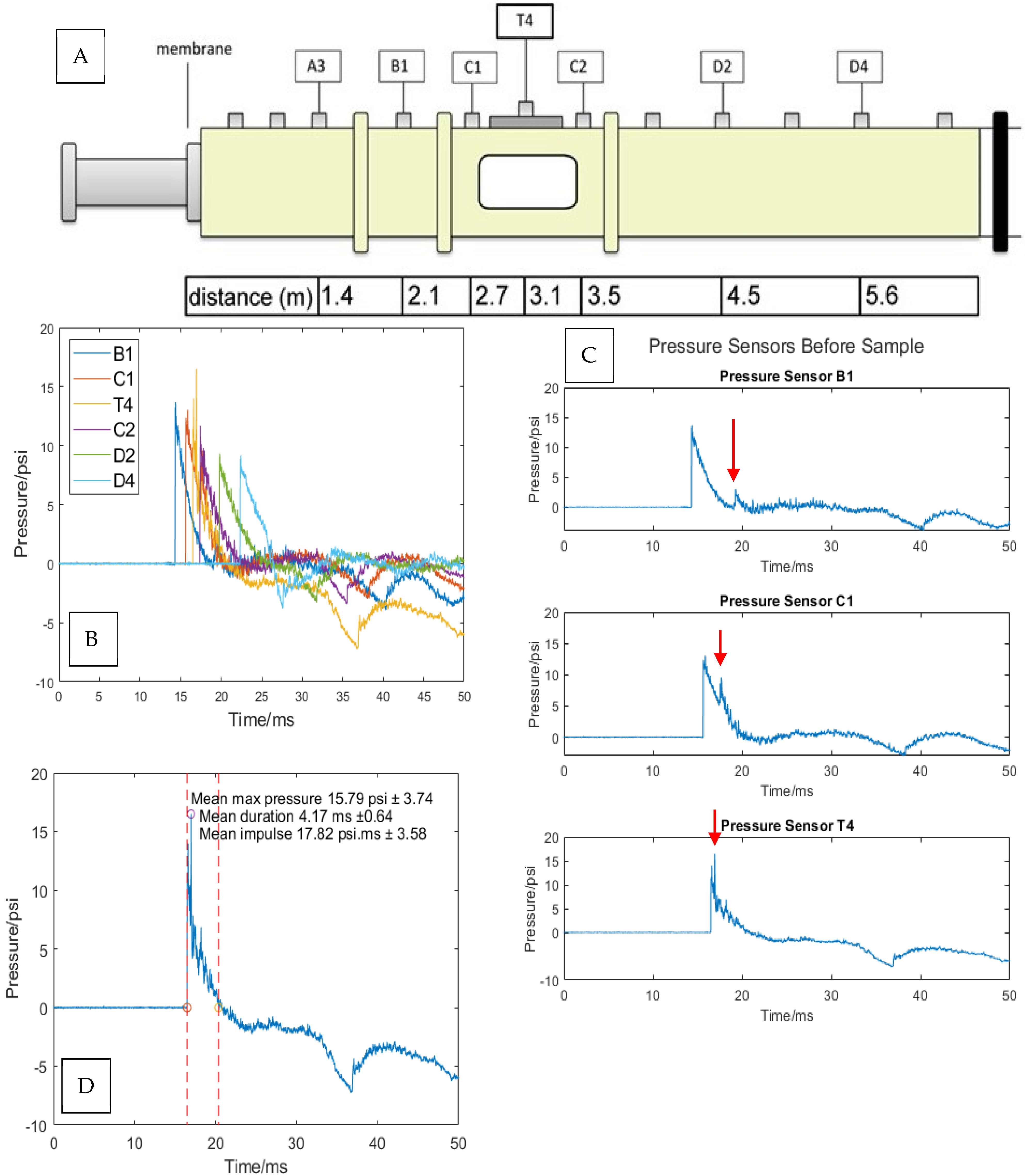 Cells 14 00563 g005 Cells 14 00563 g005