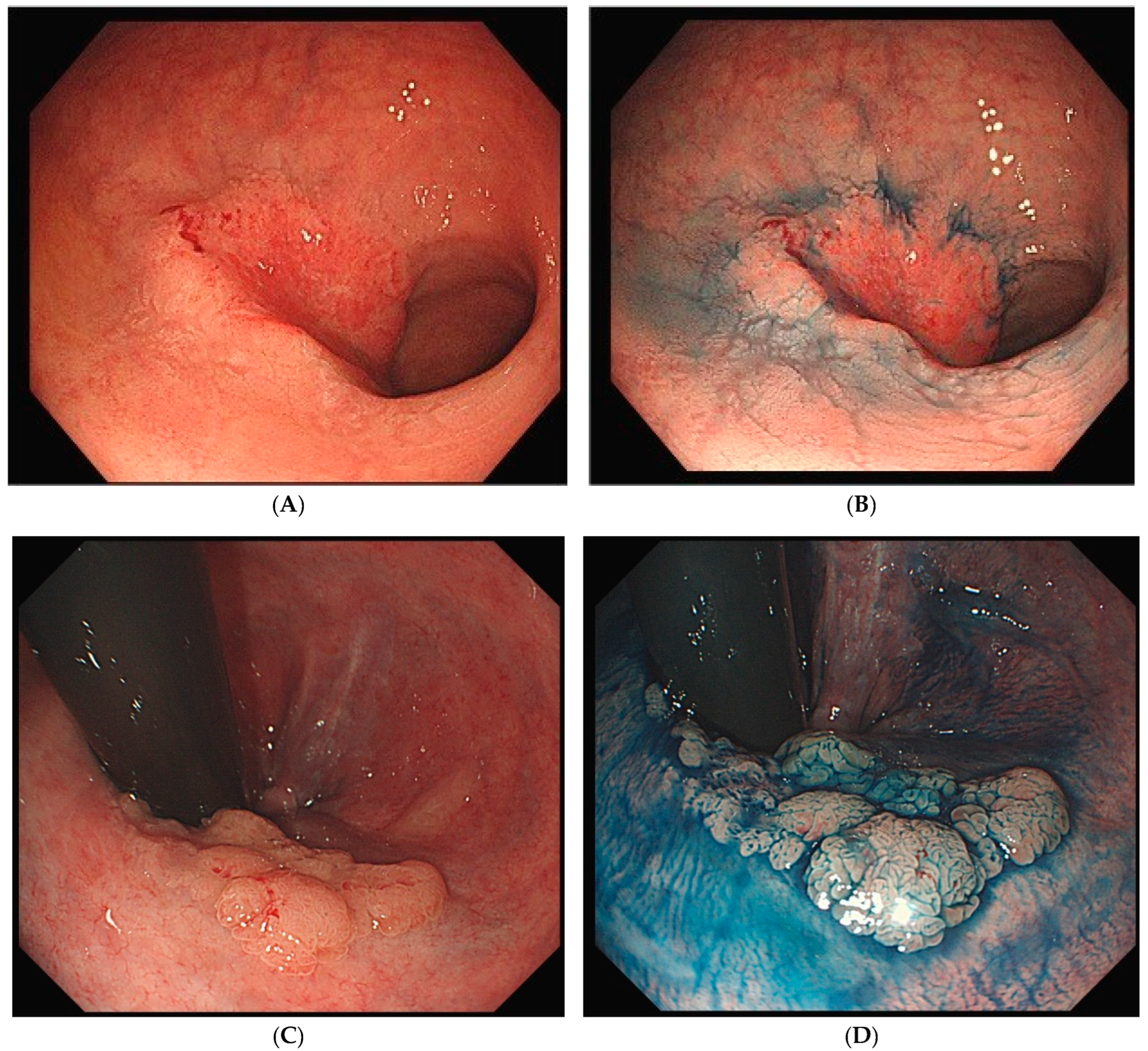 Cells 14 00567 g001a