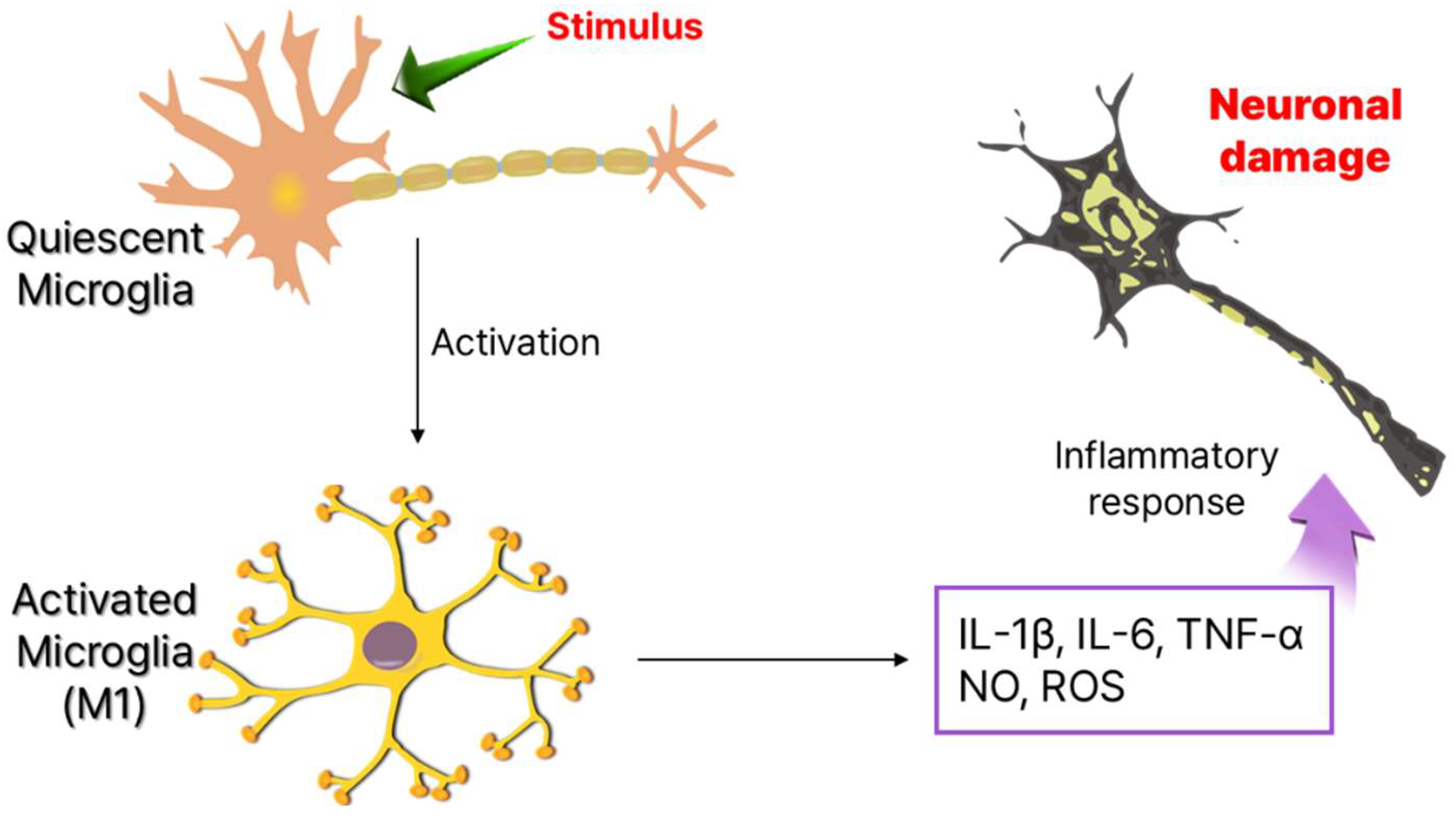 Natural Products in the Treatment of Neuroinflammation at
