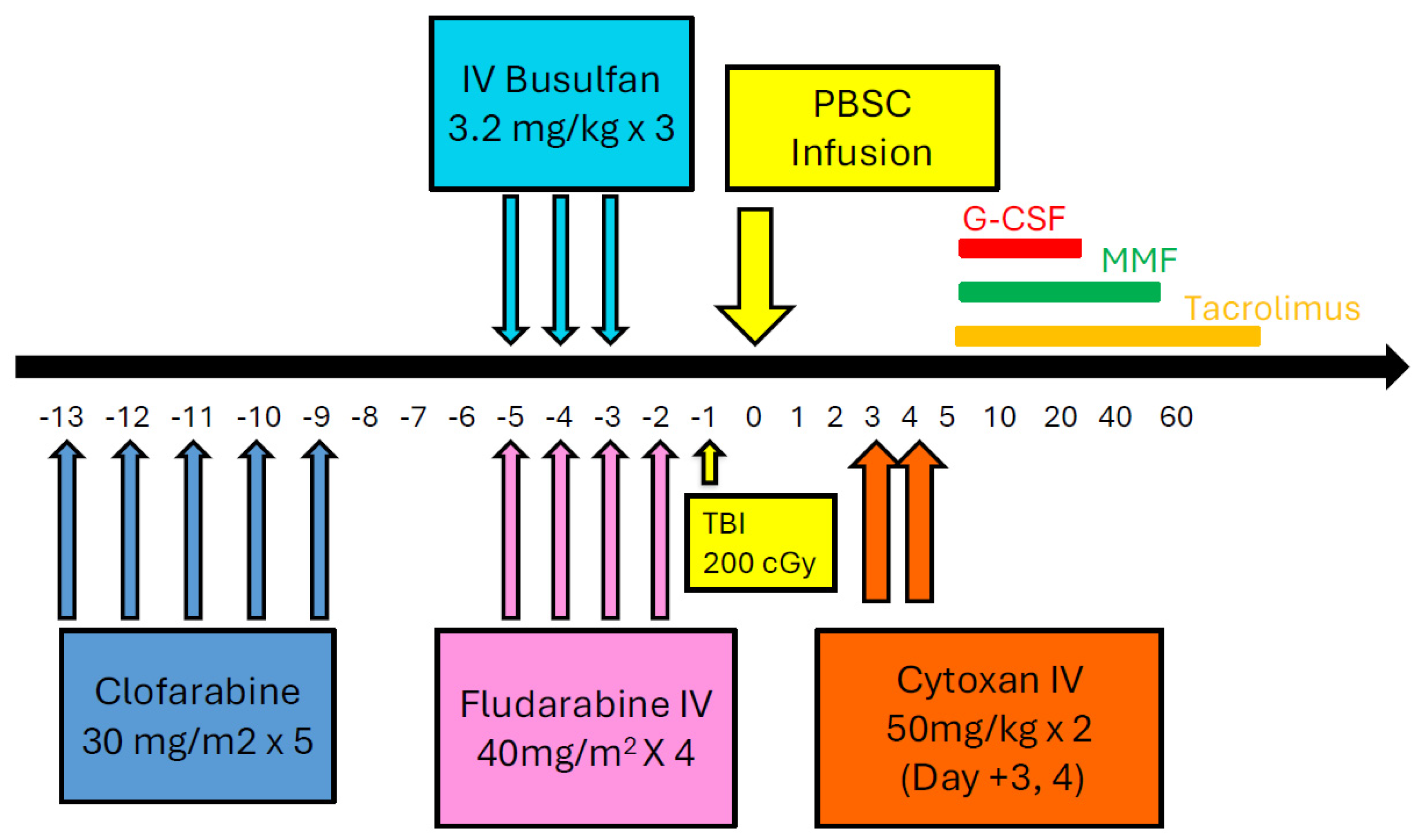 Cells 14 00572 g002 Cells 14 00572 g002