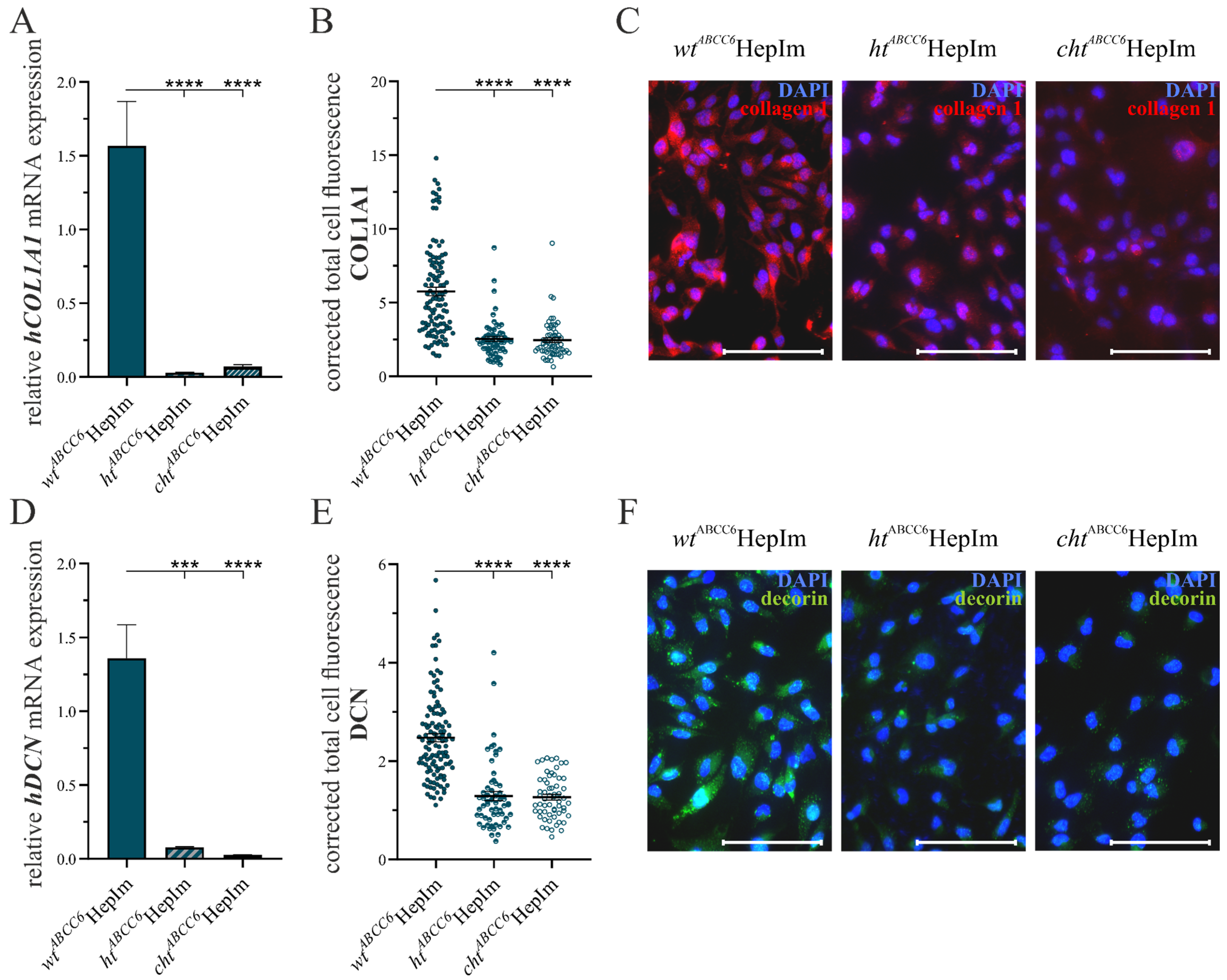 Cells 14 00576 g004 Cells 14 00576 g004