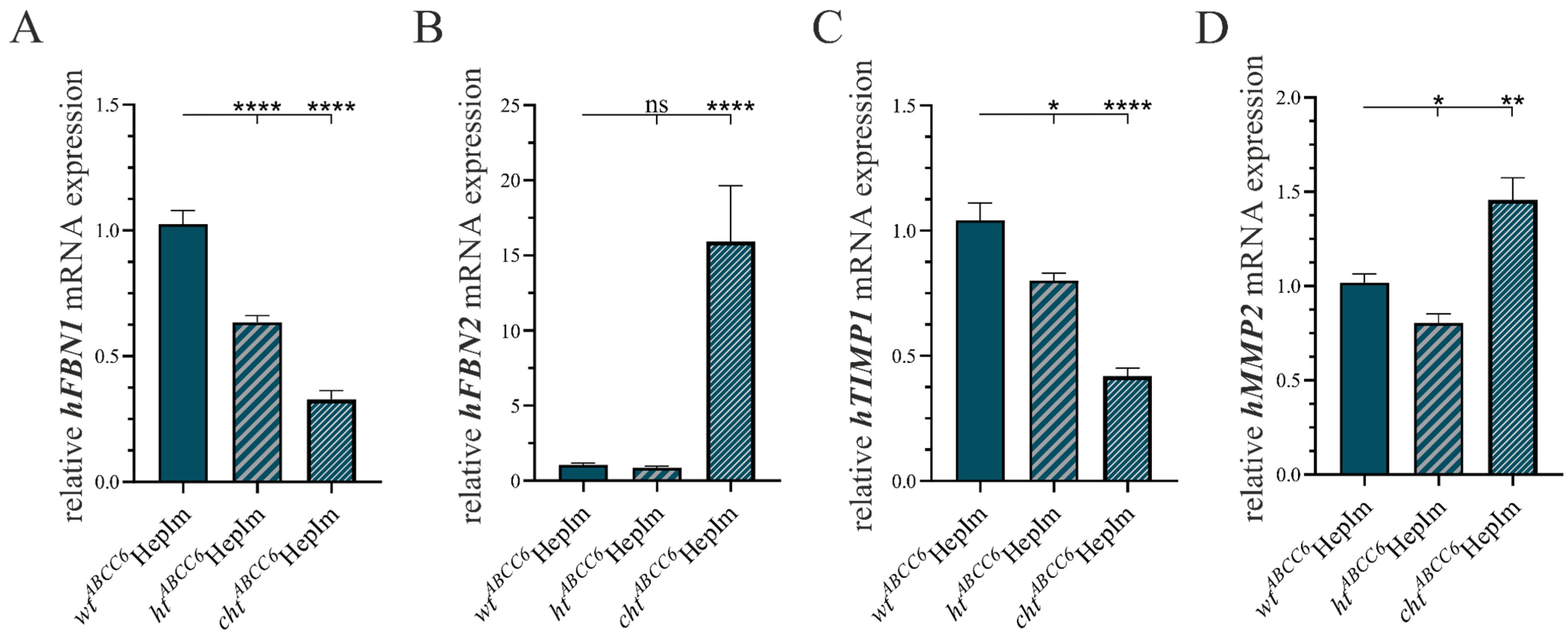 Cells 14 00576 g005 Cells 14 00576 g005