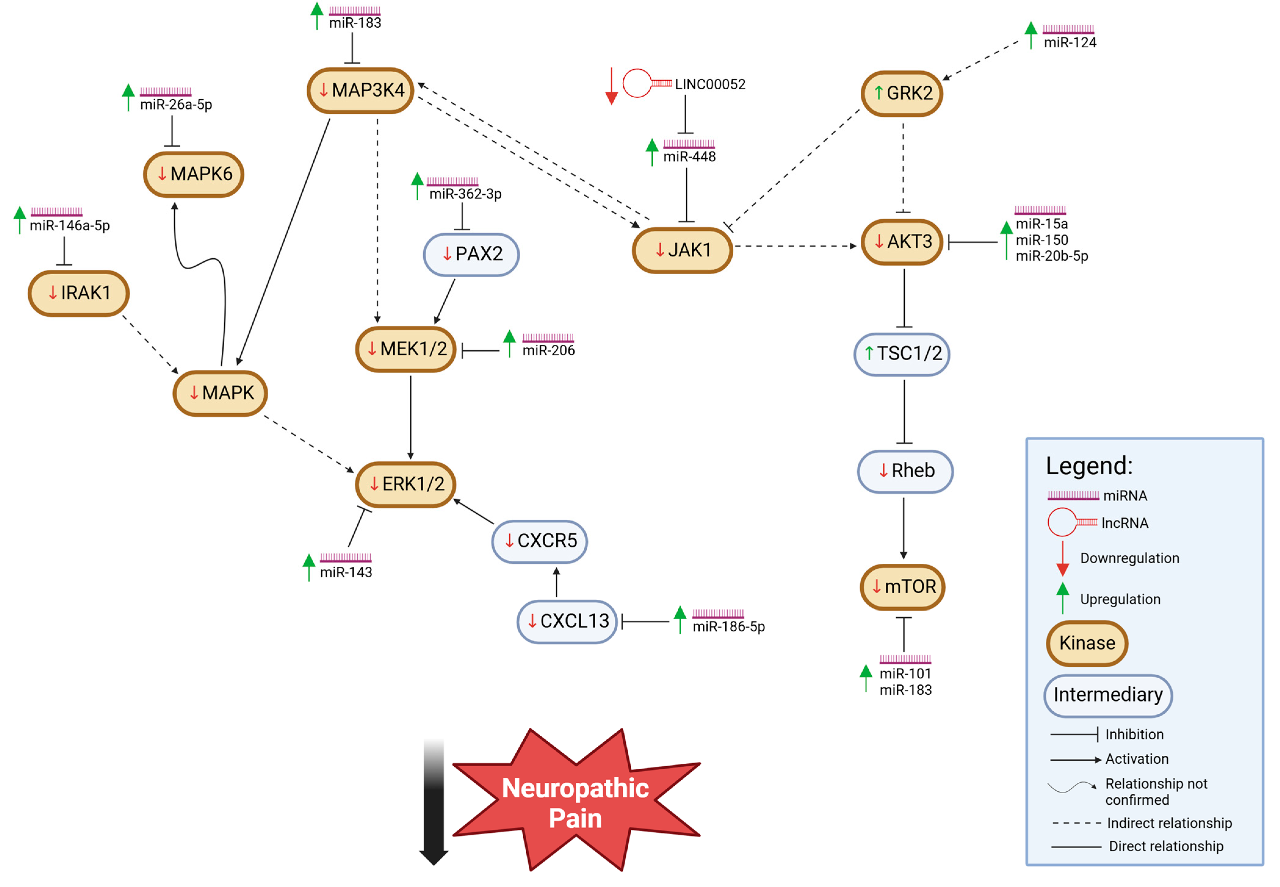 Cells 14 00577 g001 Cells 14 00577 g001