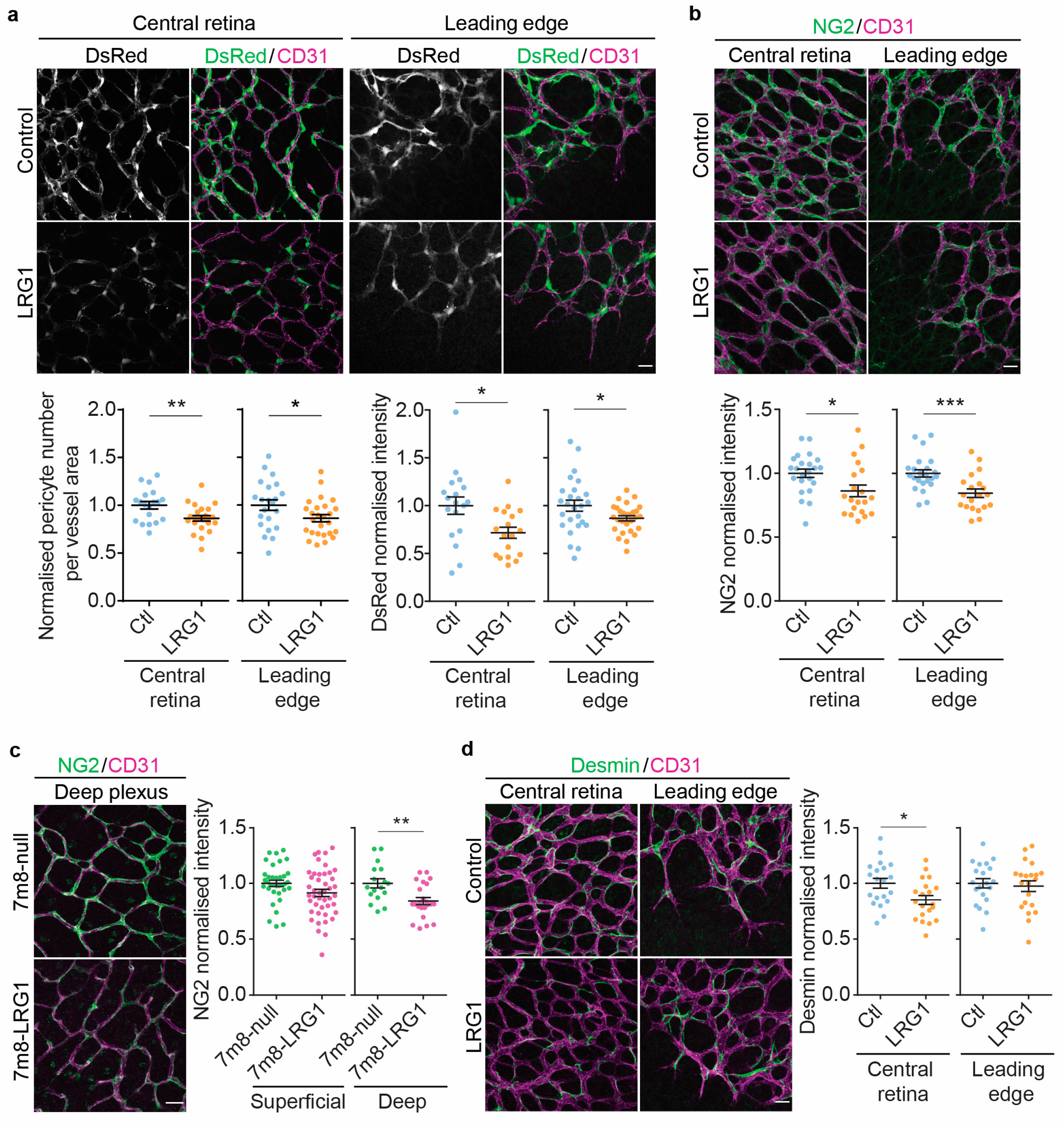 Cells 14 00593 g002 Cells 14 00593 g002