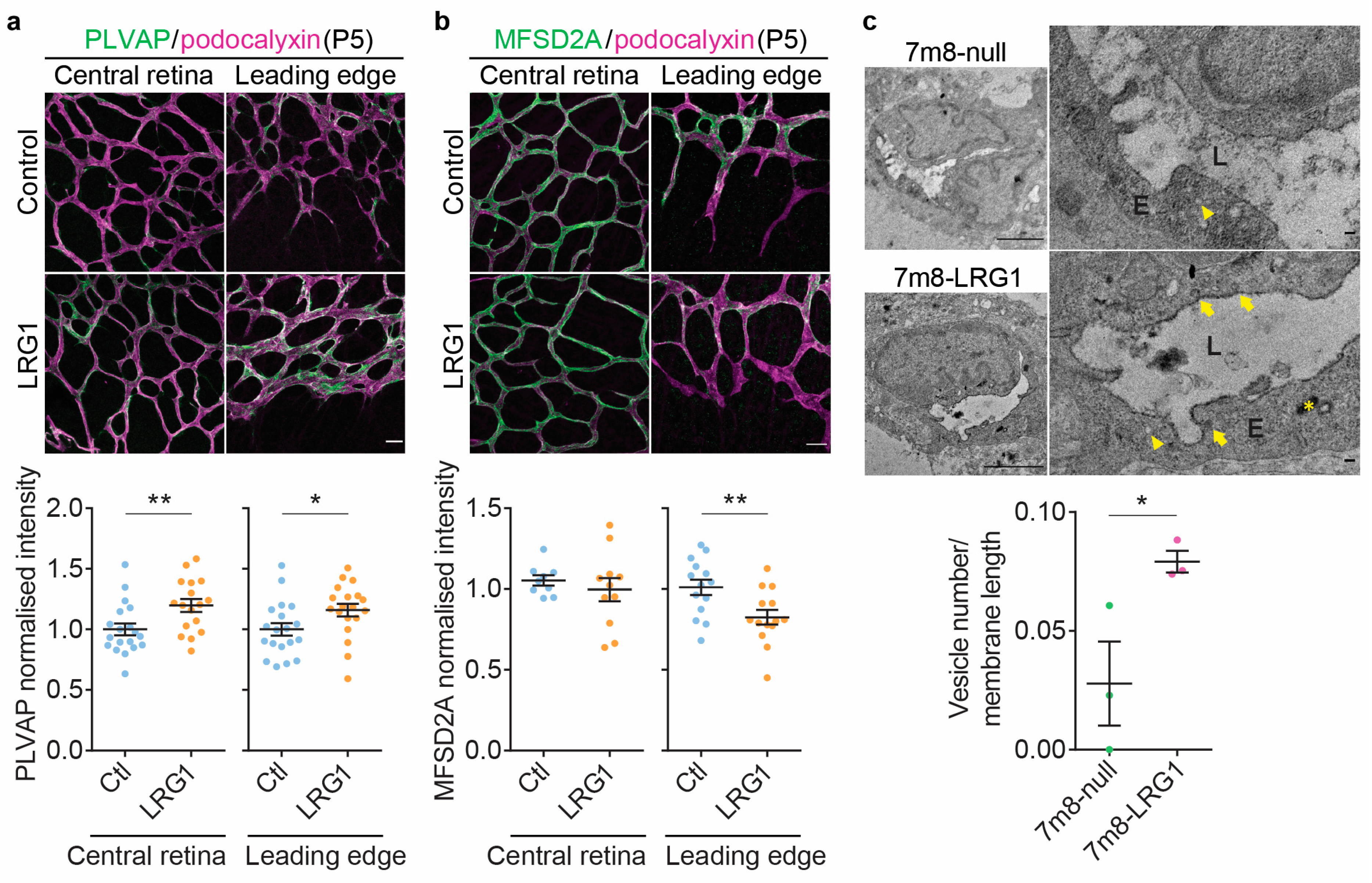 Cells 14 00593 g005 Cells 14 00593 g005