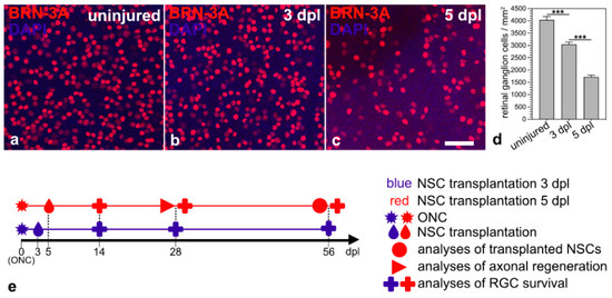 Survival and Axonal Regeneration of Retinal Ganglion Cells in a Mouse Optic  Nerve Crush Model After a Cell-Based Intravitreal Co-Administration of  Ciliary Neurotrophic Factor and Glial Cell Line-Derived Neurotrophic Factor  at Different