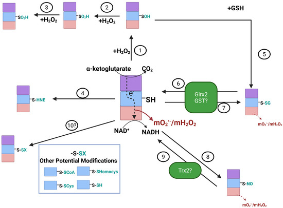 glutathione s transferase inhibitors Inhibitors of glutathione S-transferases as therapeutic agents