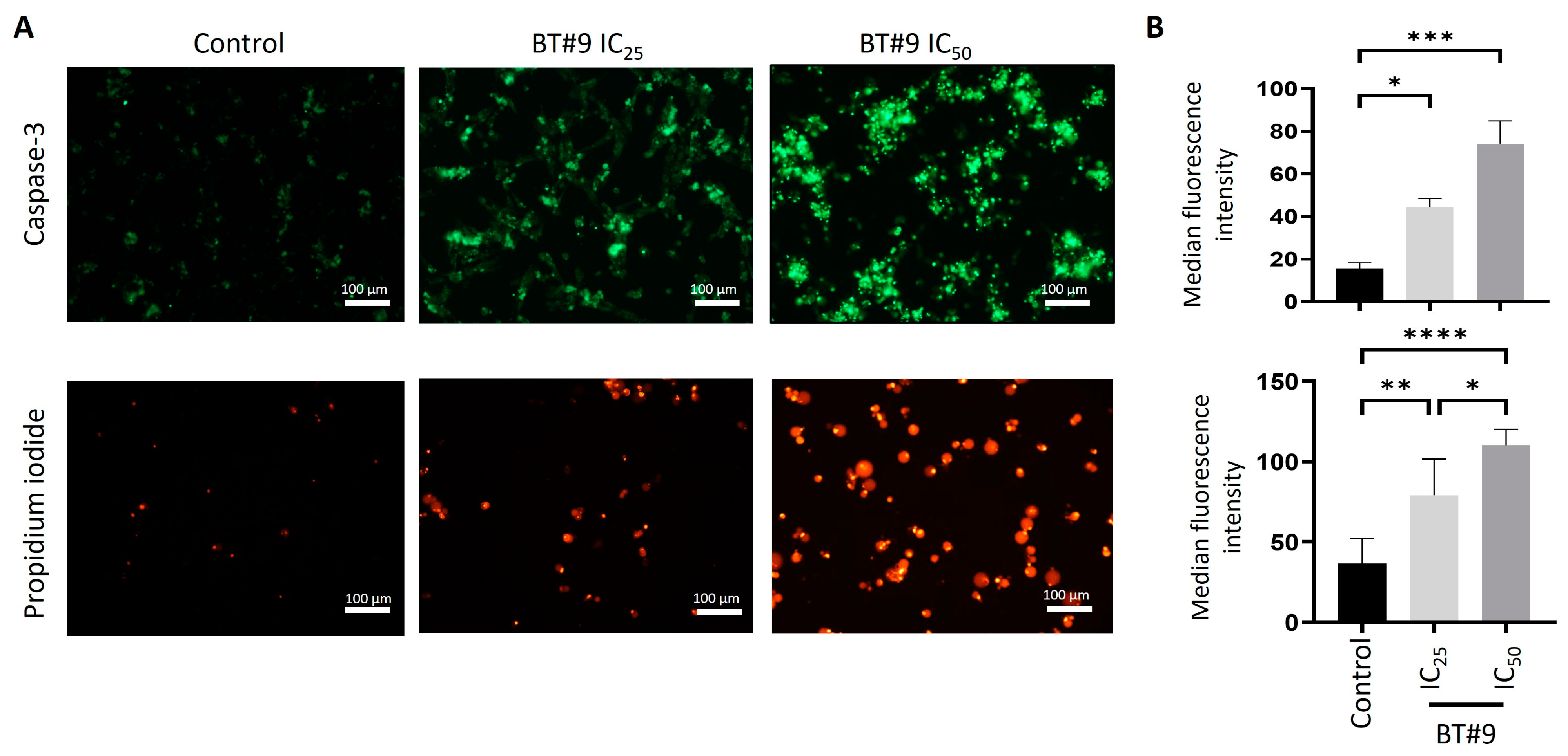 Cells 14 00655 g006 Cells 14 00655 g006