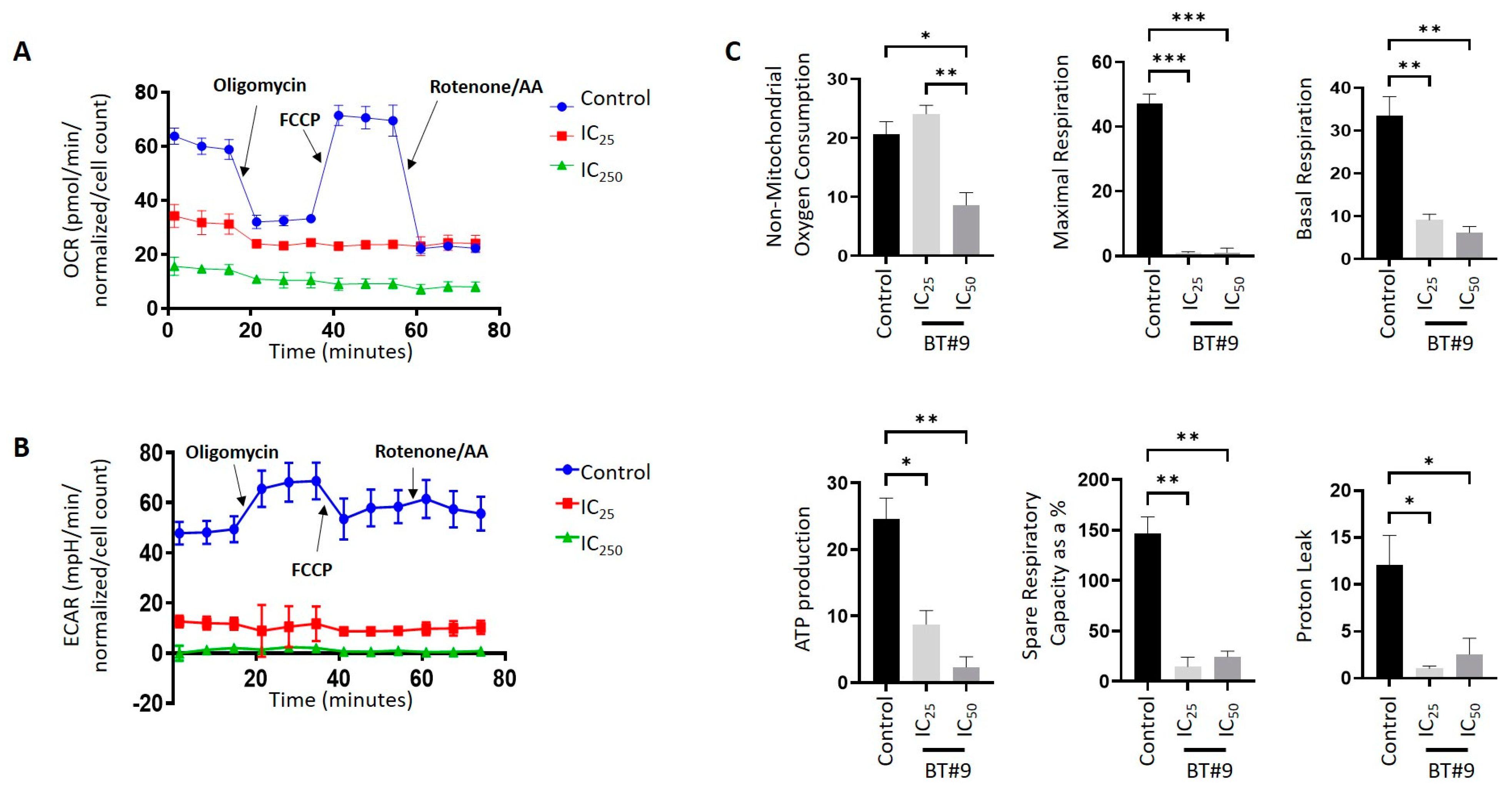 Cells 14 00655 g009 Cells 14 00655 g009
