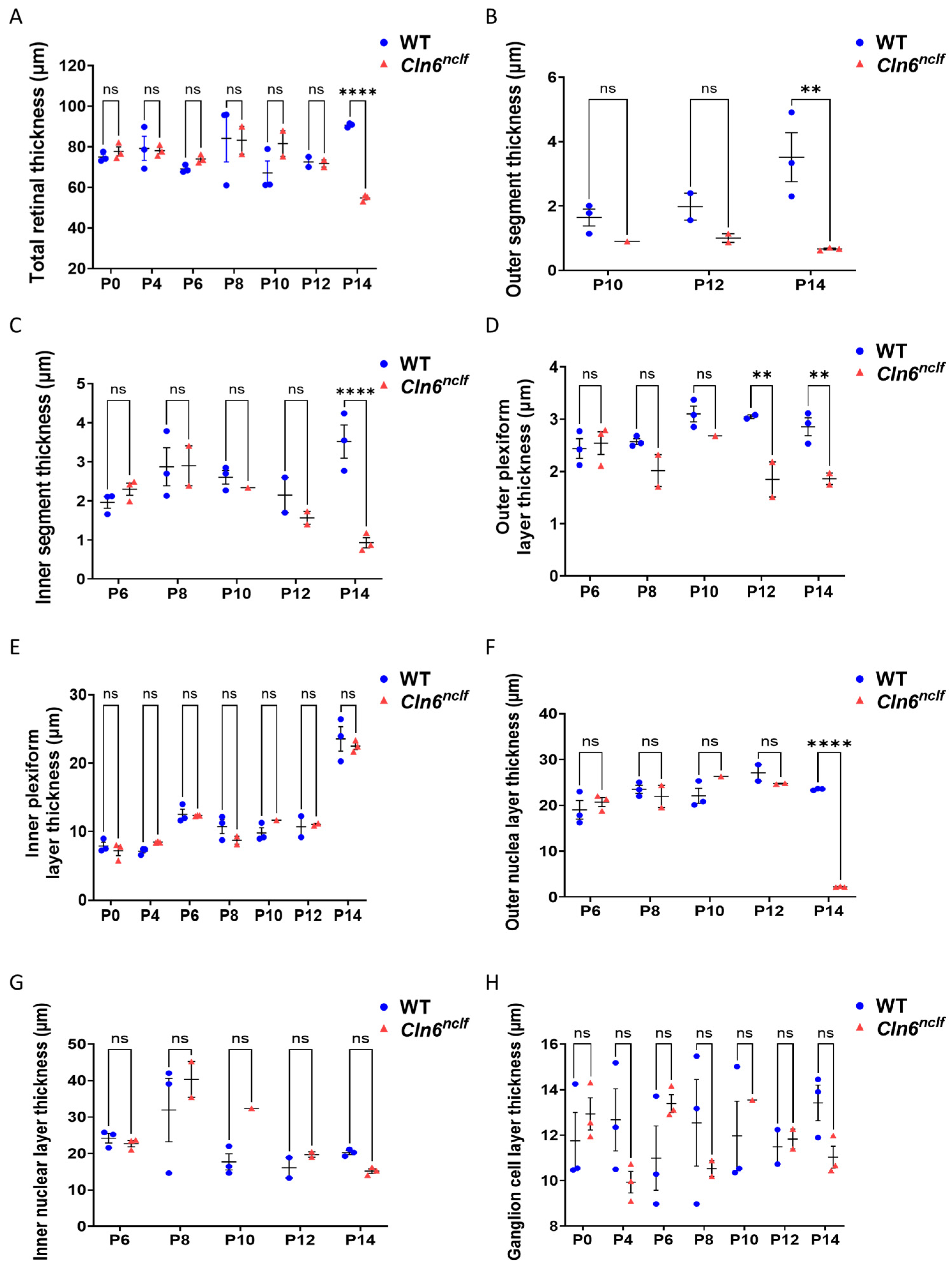 Cells 14 00661 g008a