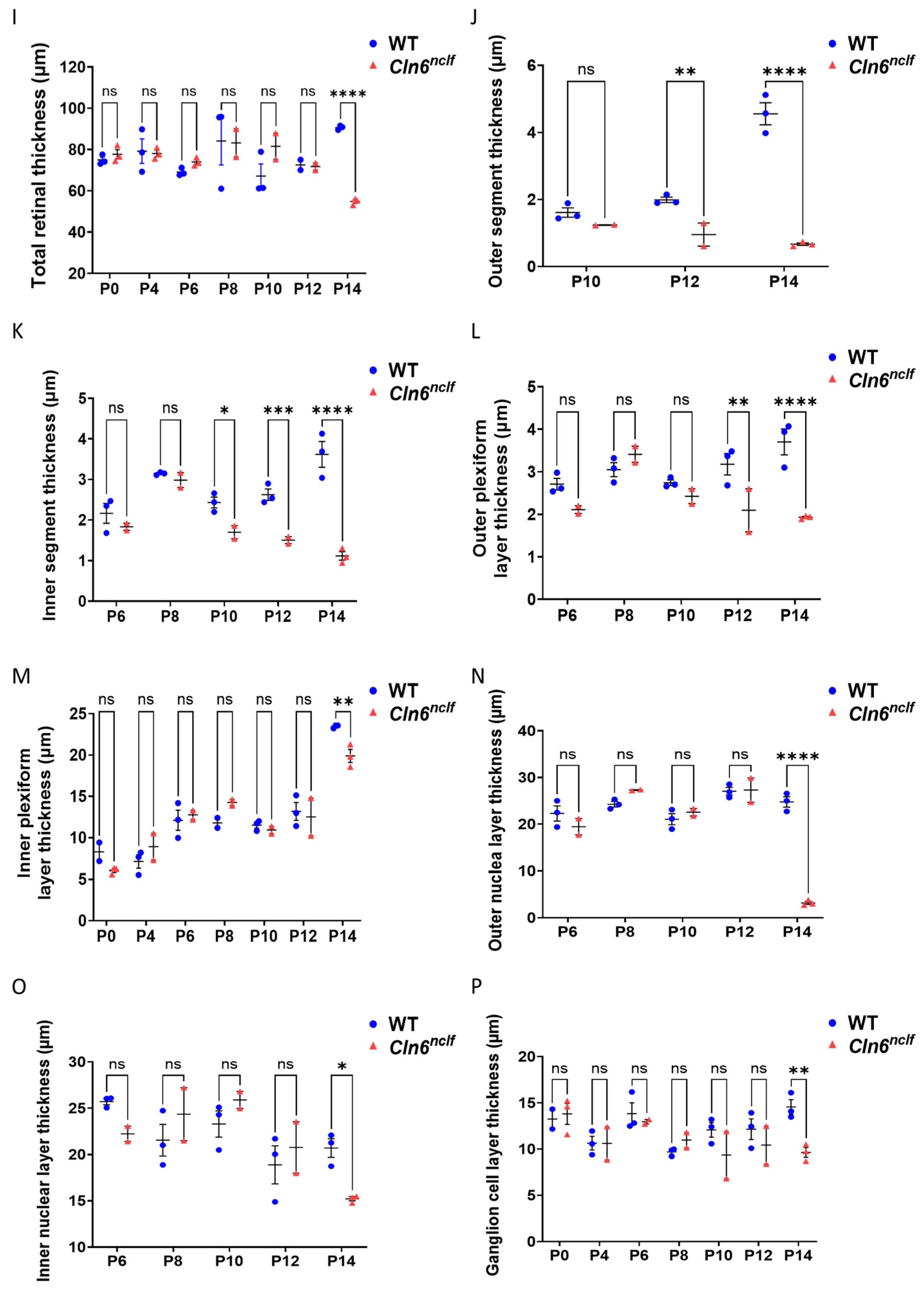 Cells 14 00661 g008b
