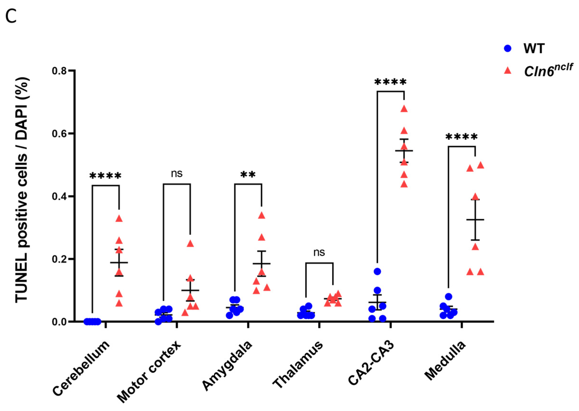 Cells 14 00661 g015b