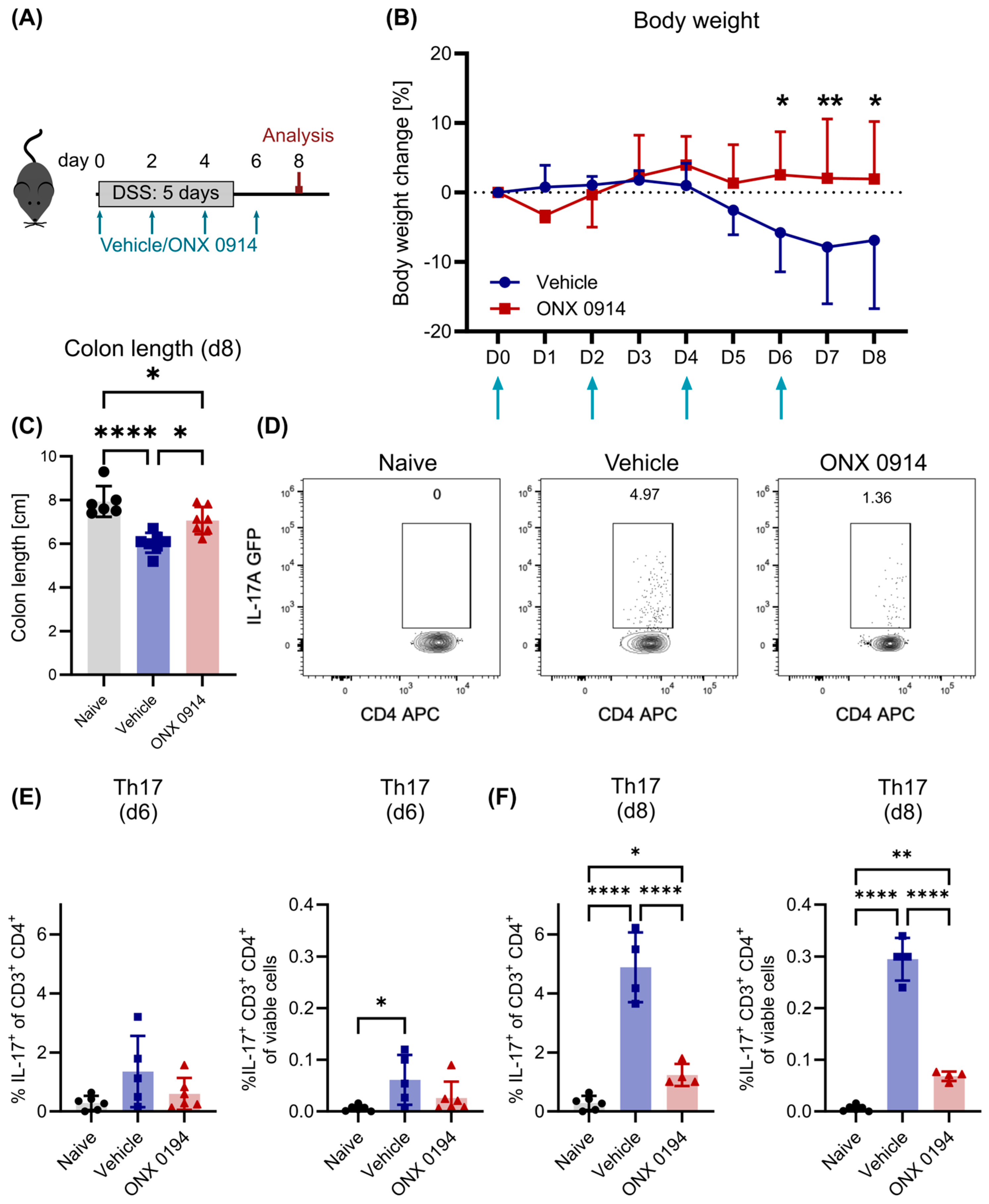 Cells 14 00689 g001 Cells 14 00689 g001