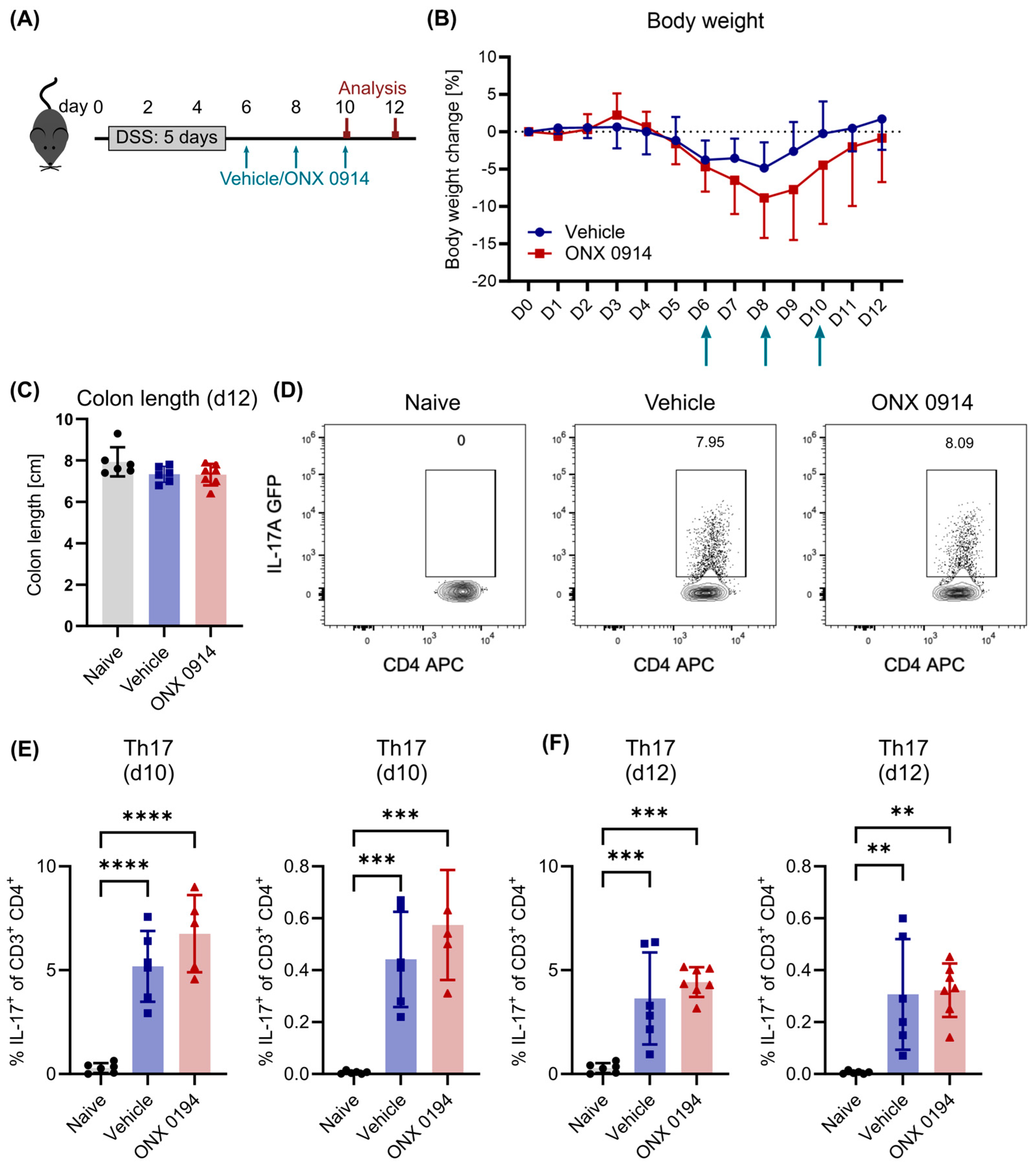 Cells 14 00689 g002 Cells 14 00689 g002