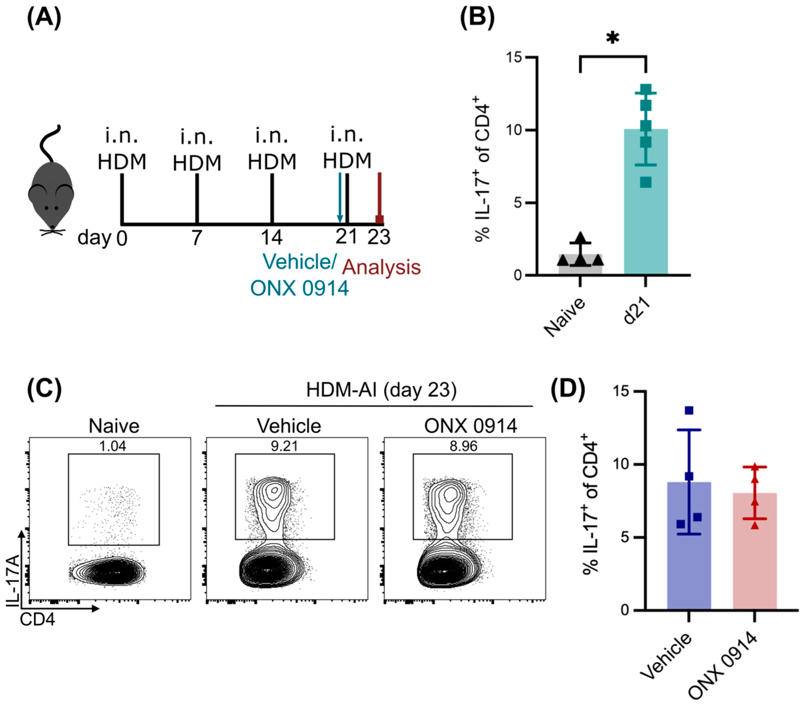 Cells 14 00689 g003 Cells 14 00689 g003