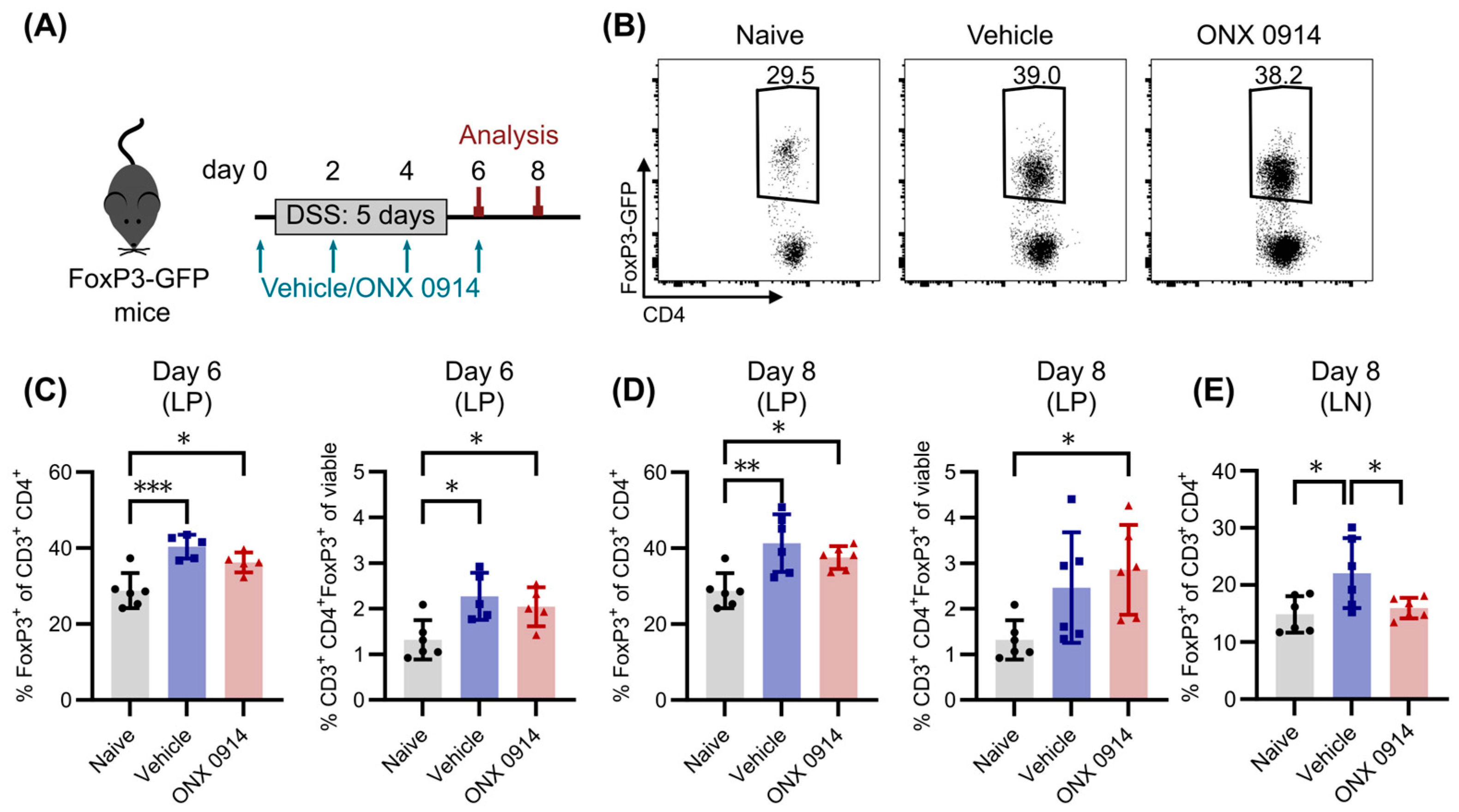 Cells 14 00689 g004 Cells 14 00689 g004