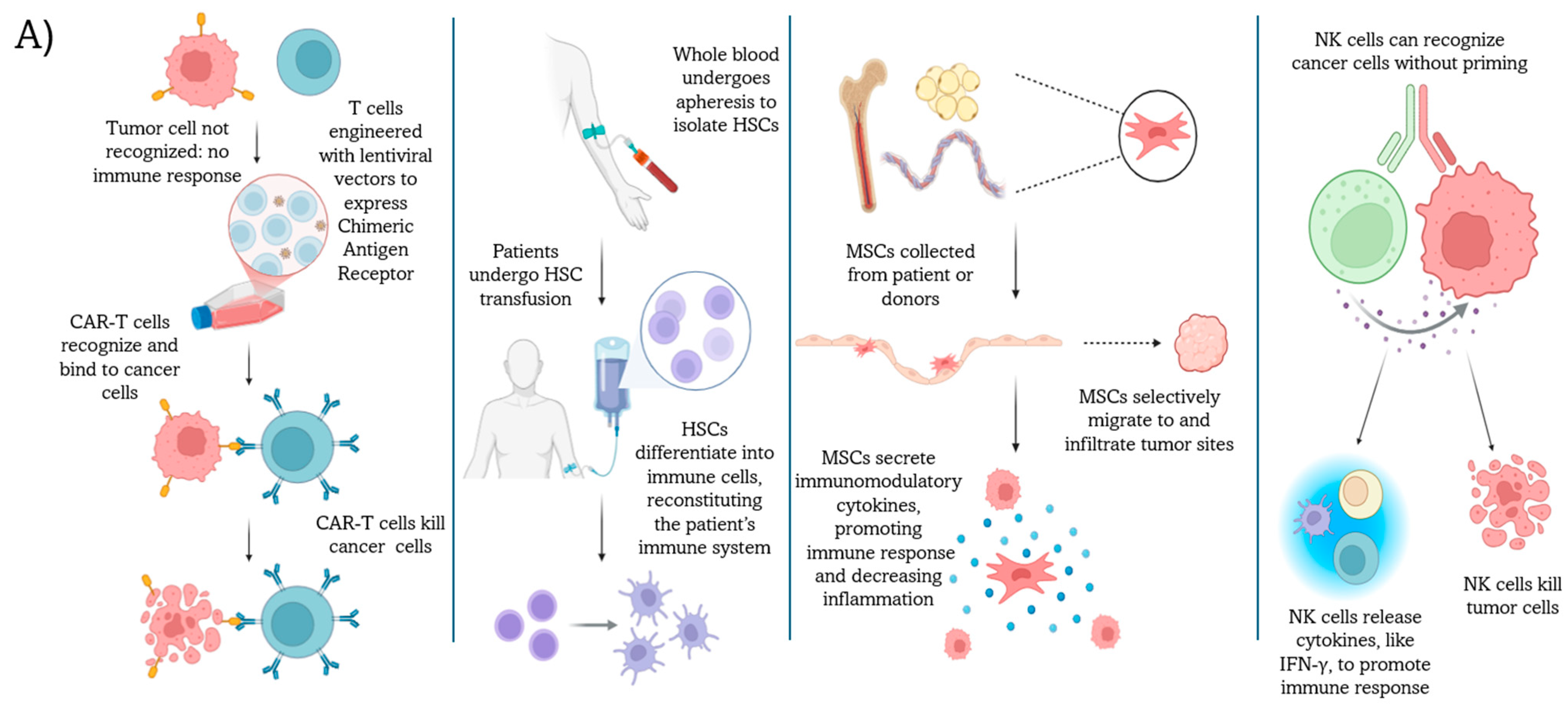 Cells 14 00708 g001a