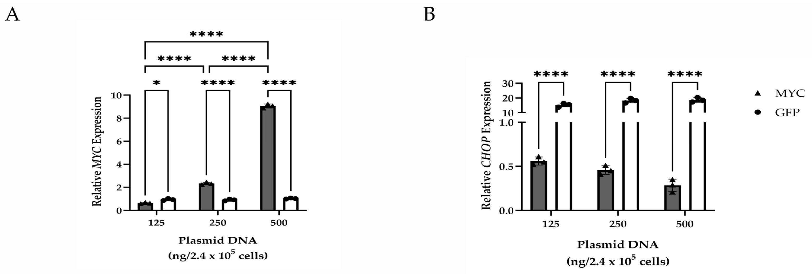 Cells 14 00709 g004 Cells 14 00709 g004