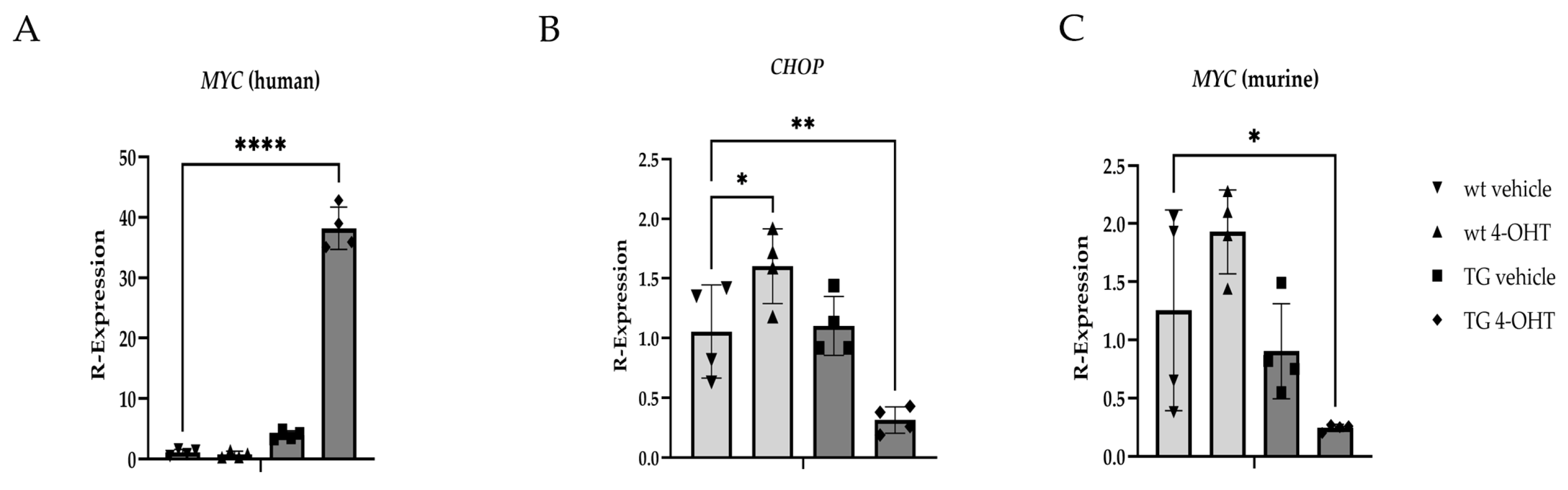 Cells 14 00709 g008 Cells 14 00709 g008