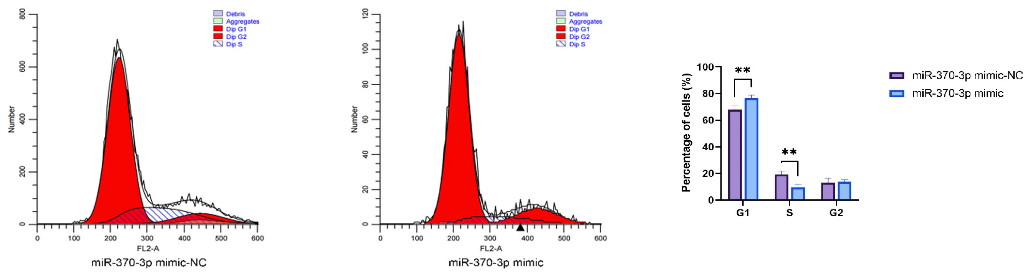 Cells 14 00714 g008a