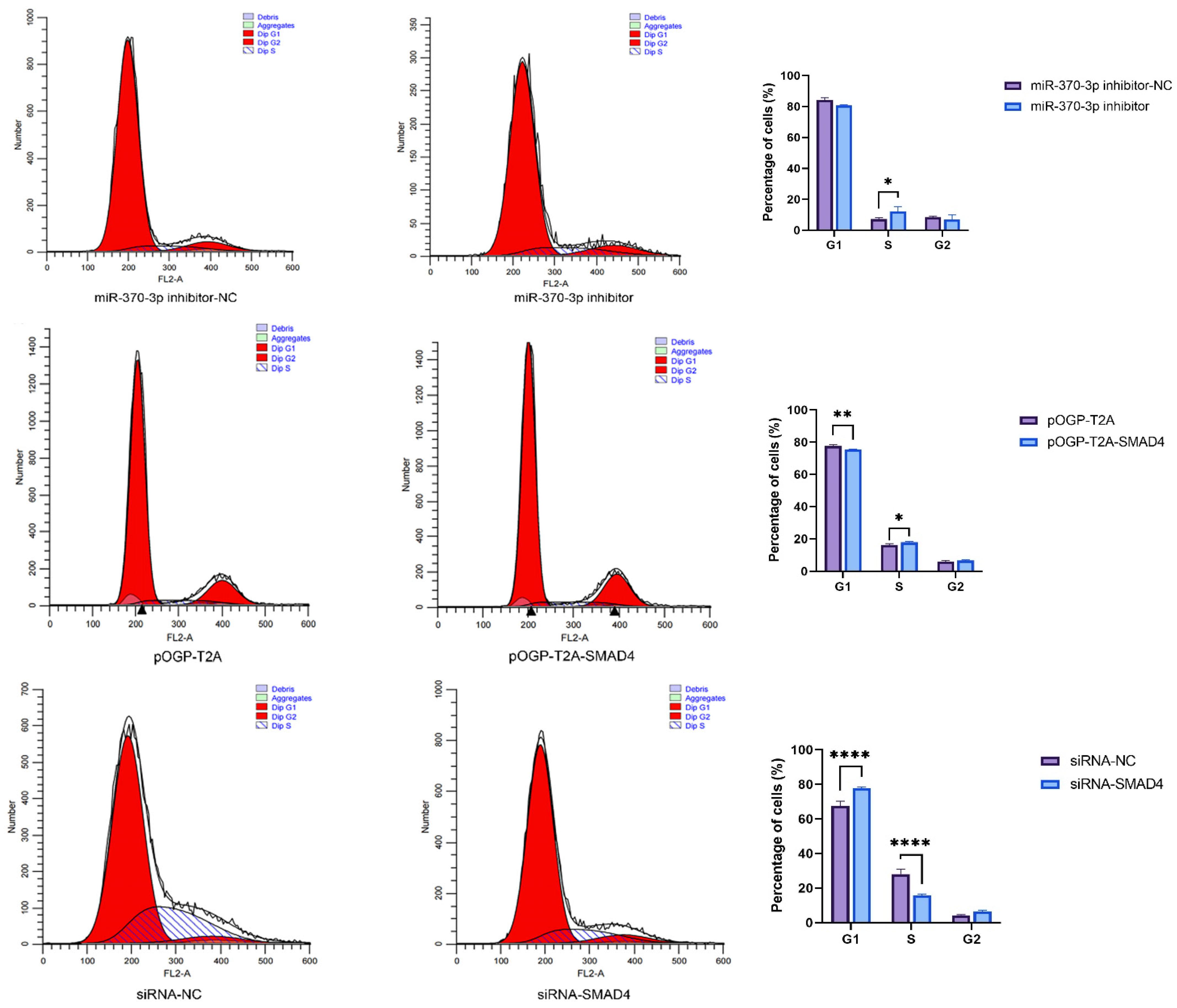 Cells 14 00714 g008b