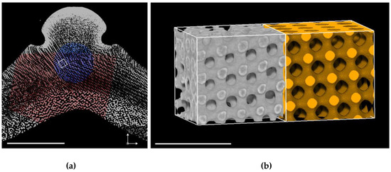 Inverse Bicontinuous and Discontinuous Phases of Lipids, and