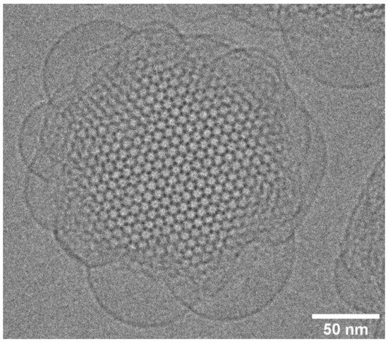 Inverse Bicontinuous and Discontinuous Phases of Lipids, and