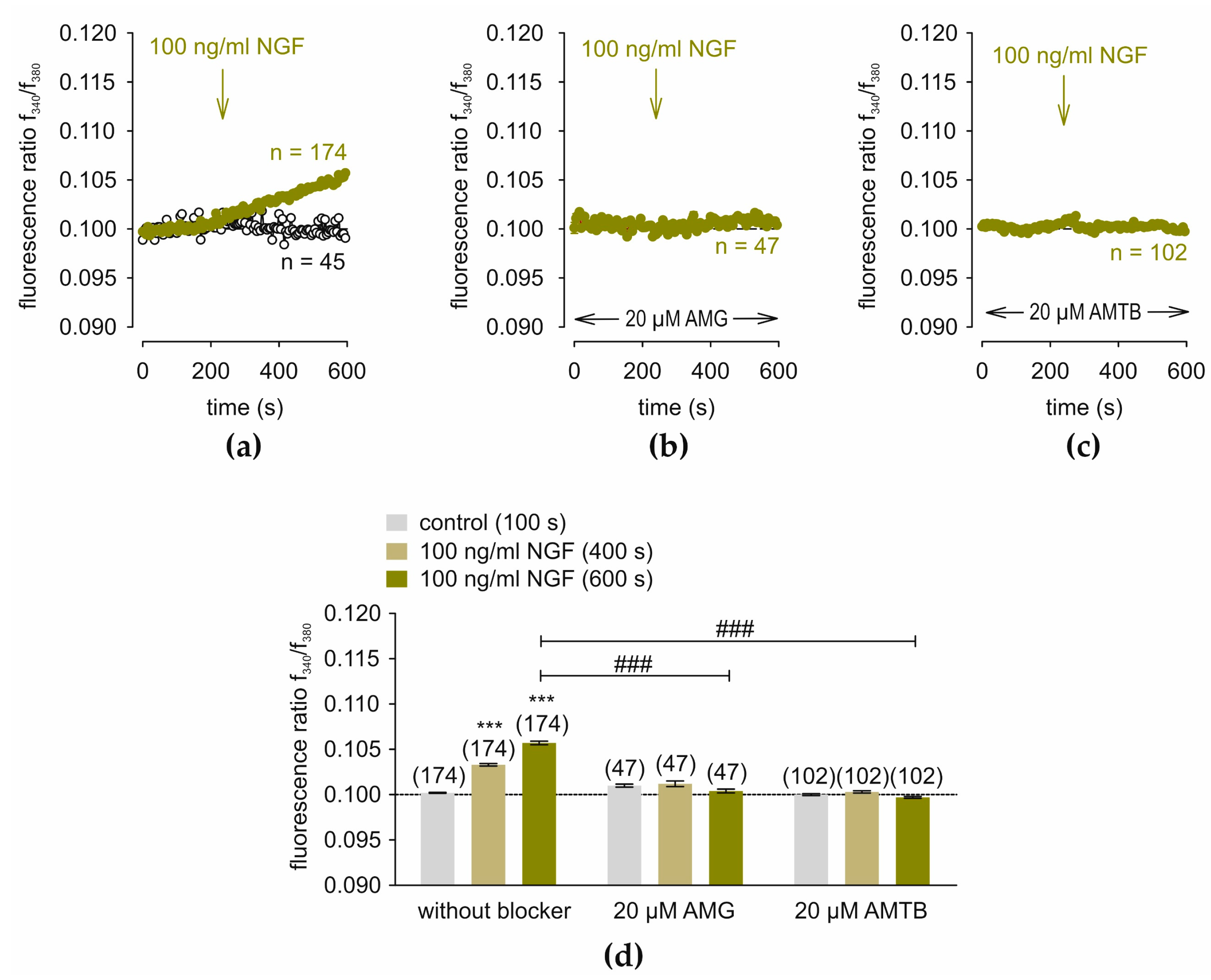 Cells 14 00719 g002 Cells 14 00719 g002