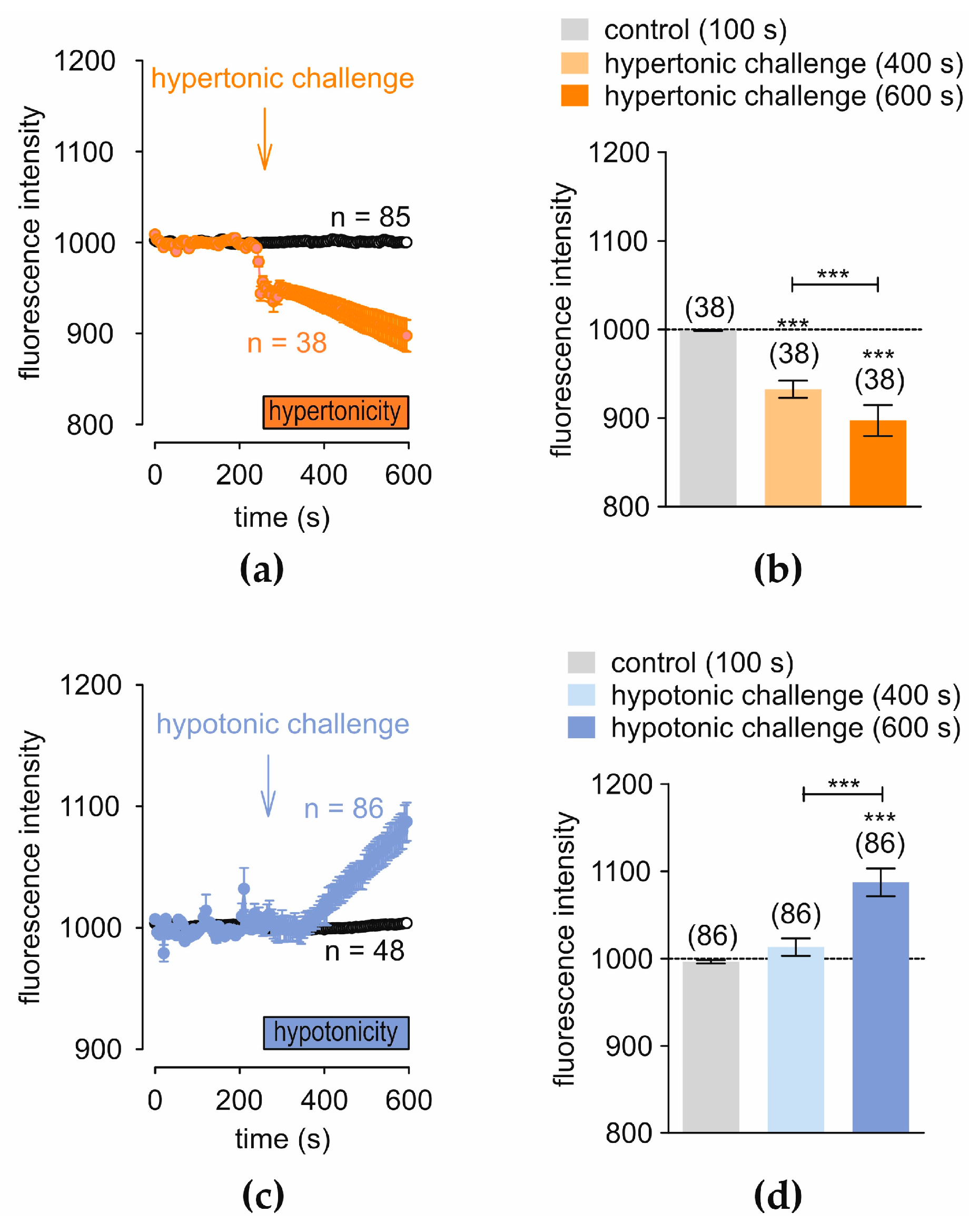Cells 14 00719 g004 Cells 14 00719 g004