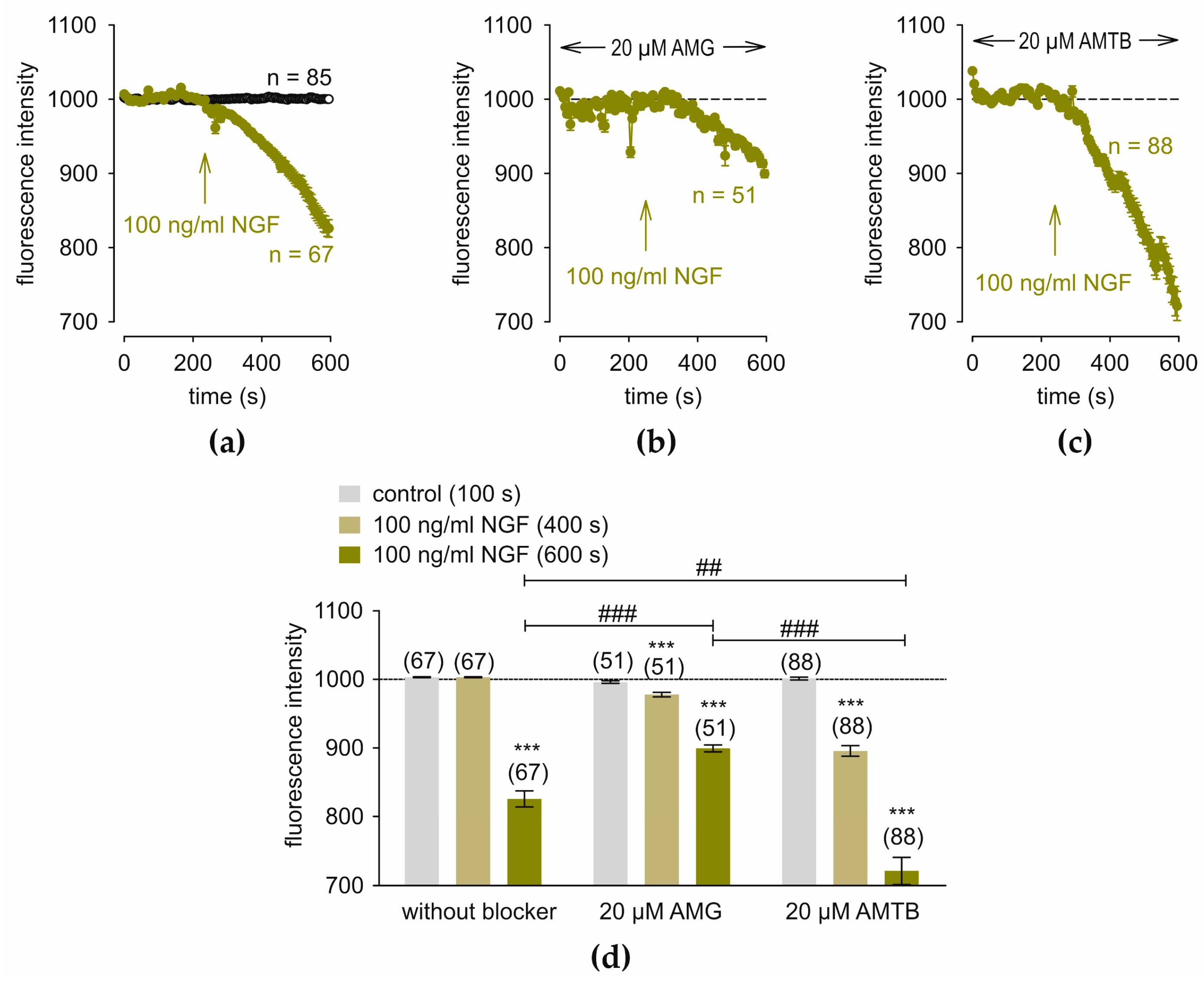 Cells 14 00719 g006 Cells 14 00719 g006