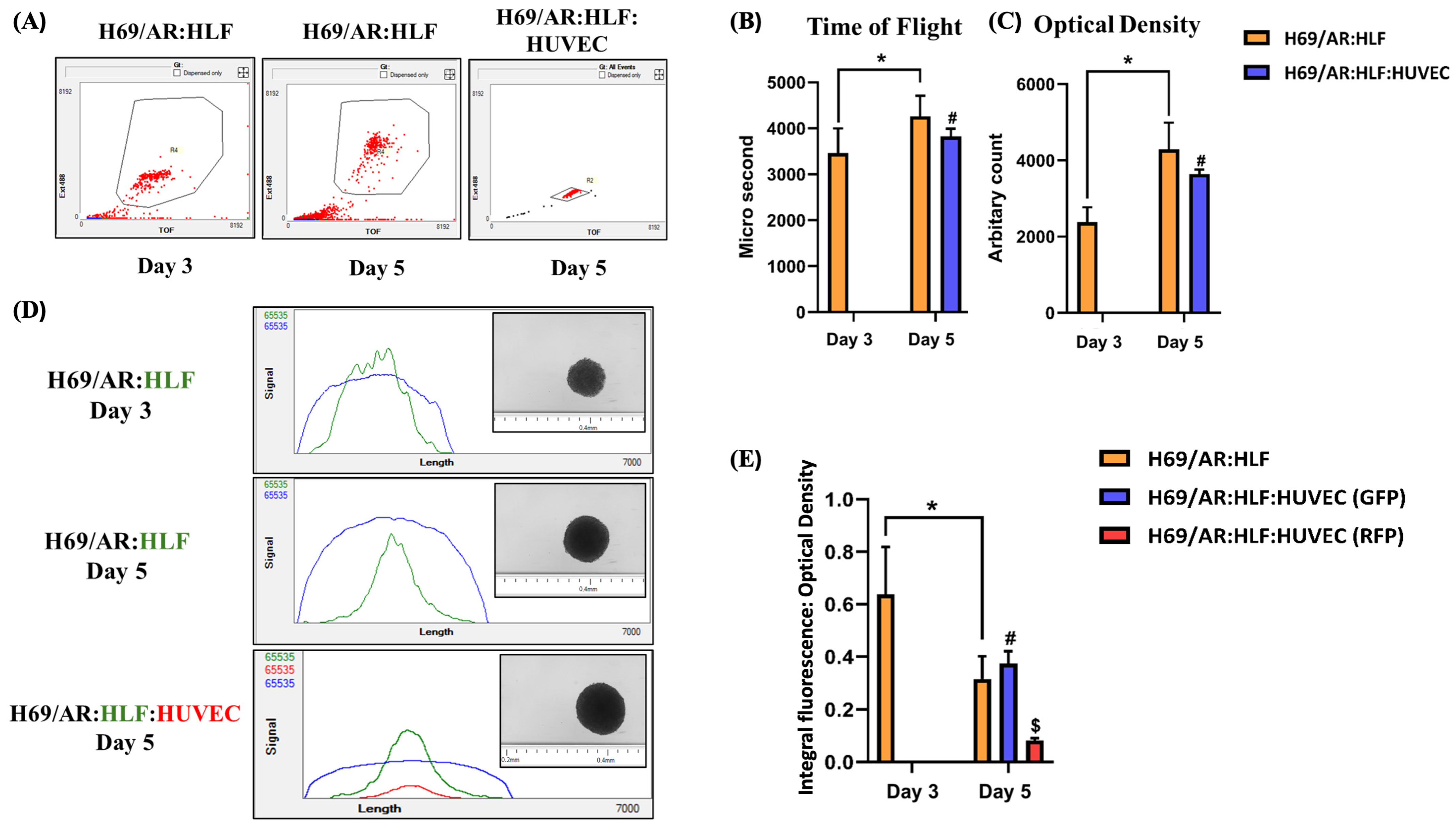 Cells 14 00732 g004 Cells 14 00732 g004
