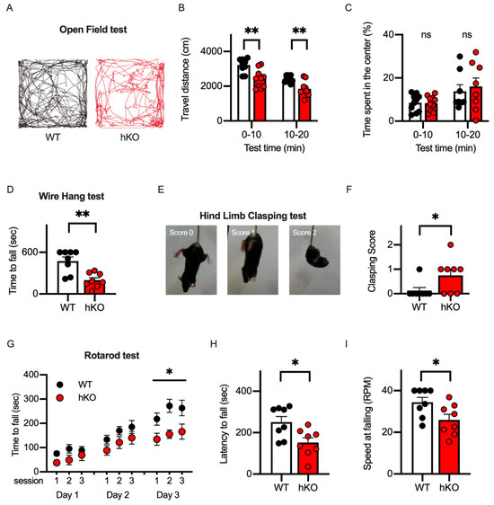 The Competitive Loss of Cerebellar Granule and Purkinje Cells