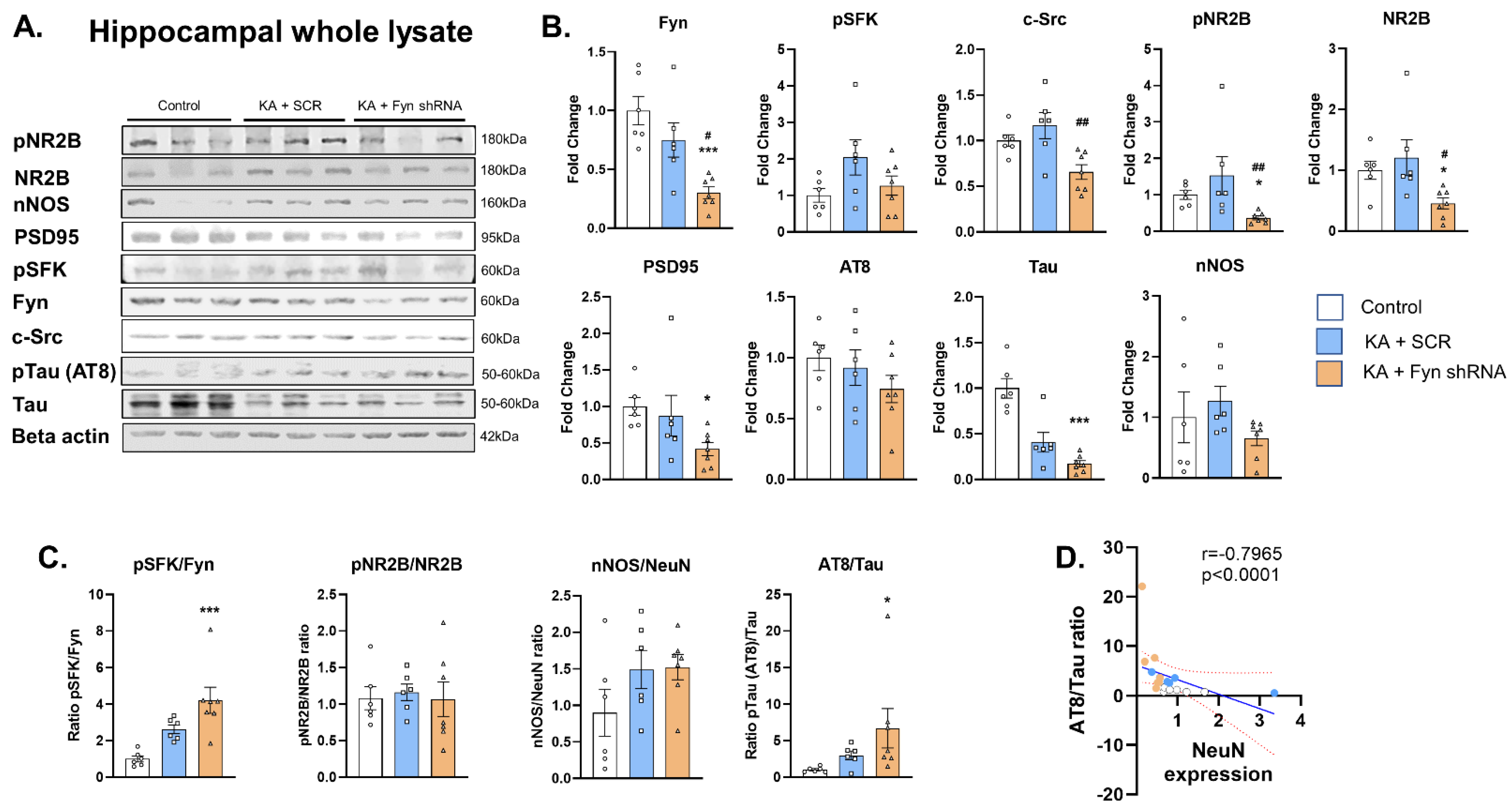 Cells 14 00743 g003 Cells 14 00743 g003