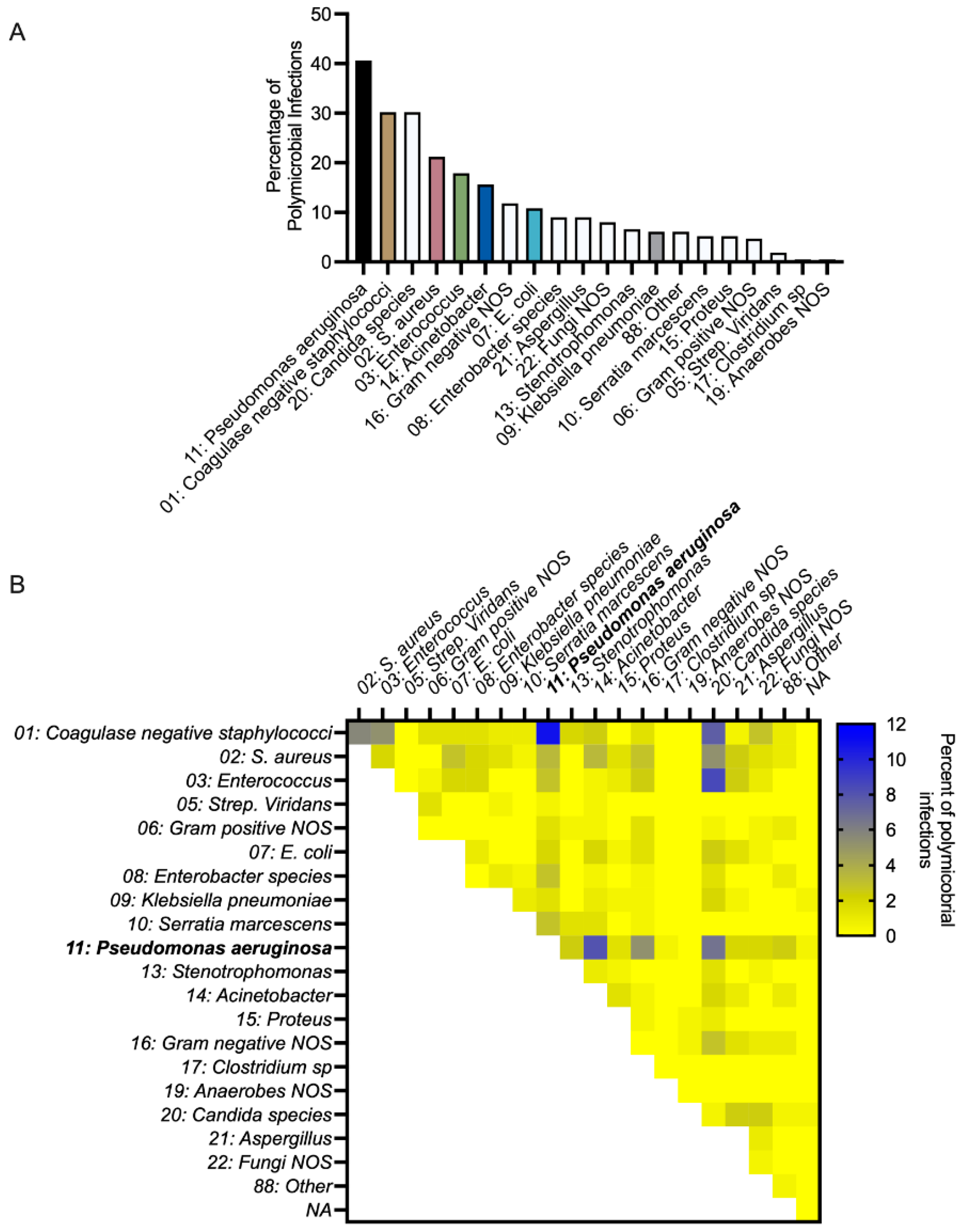 Cells 14 00744 g001 Cells 14 00744 g001