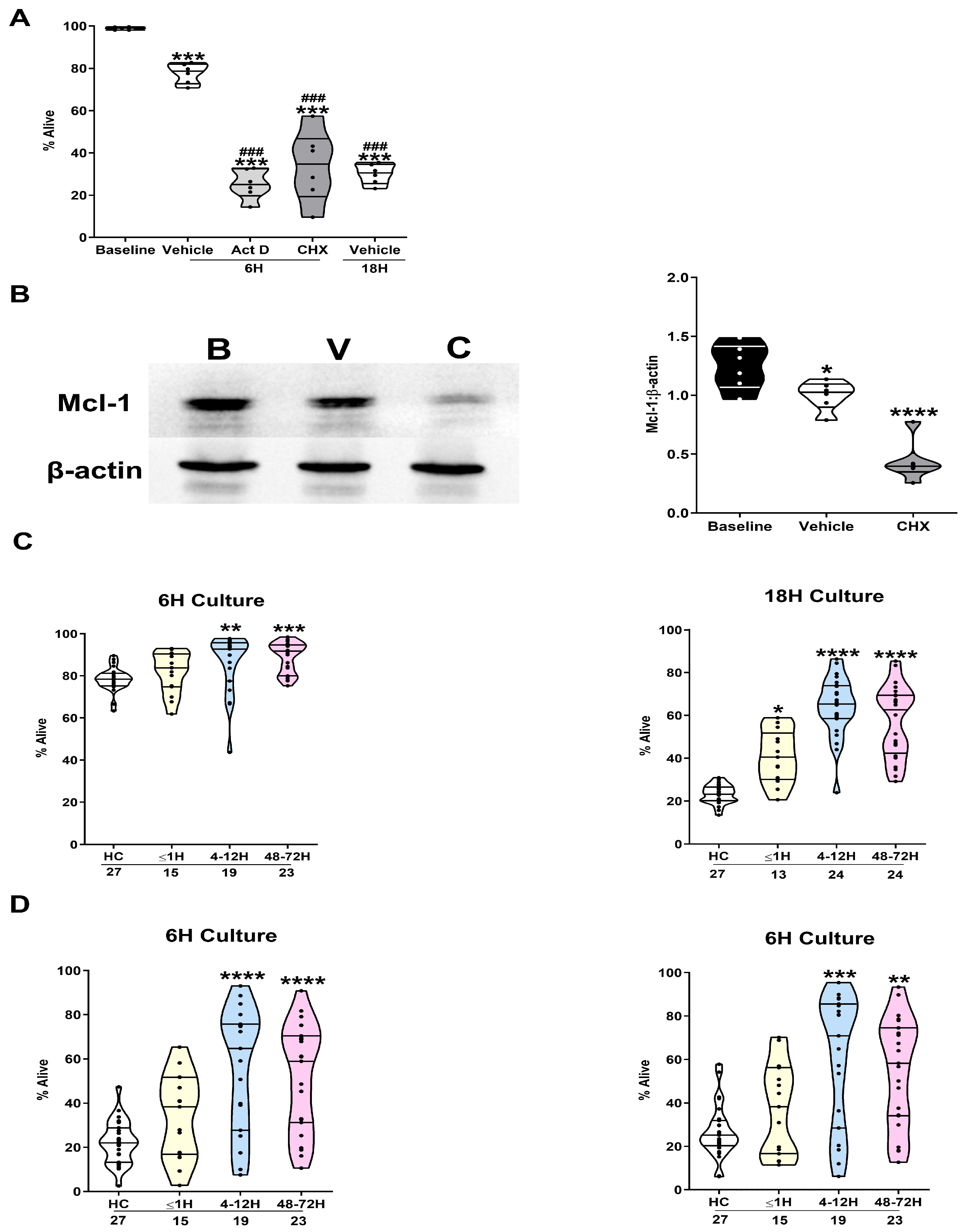 Cells 14 00754 g001 Cells 14 00754 g001