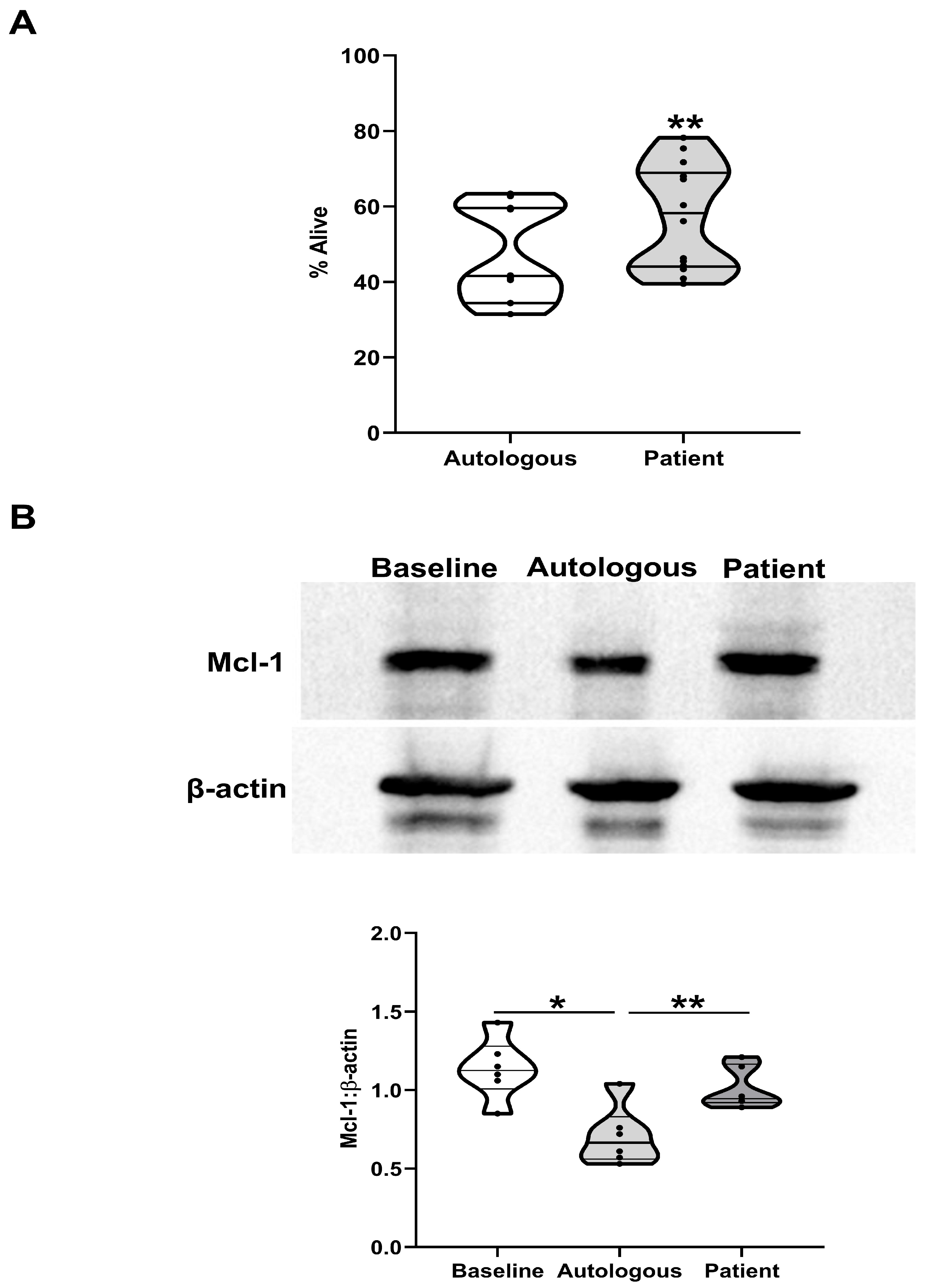 Cells 14 00754 g004 Cells 14 00754 g004