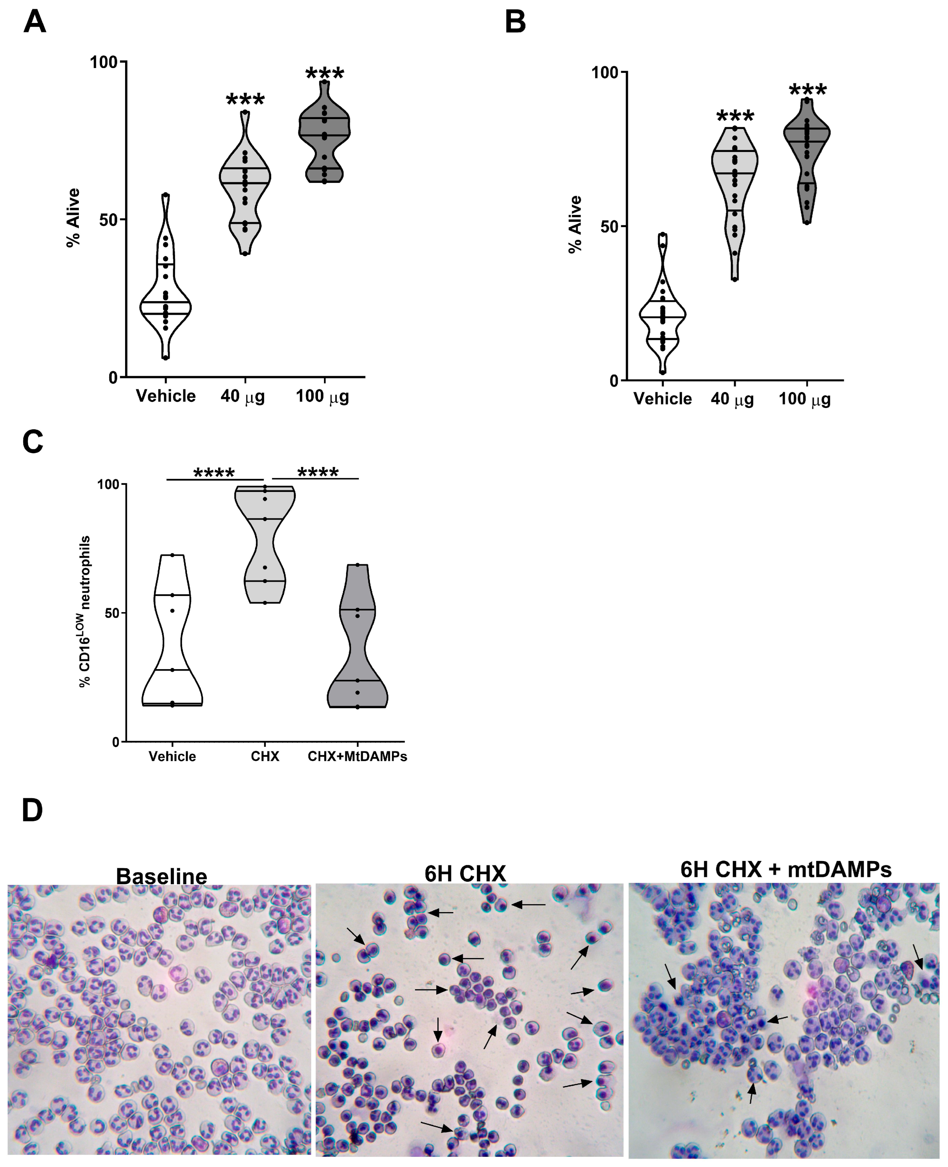Cells 14 00754 g007 Cells 14 00754 g007