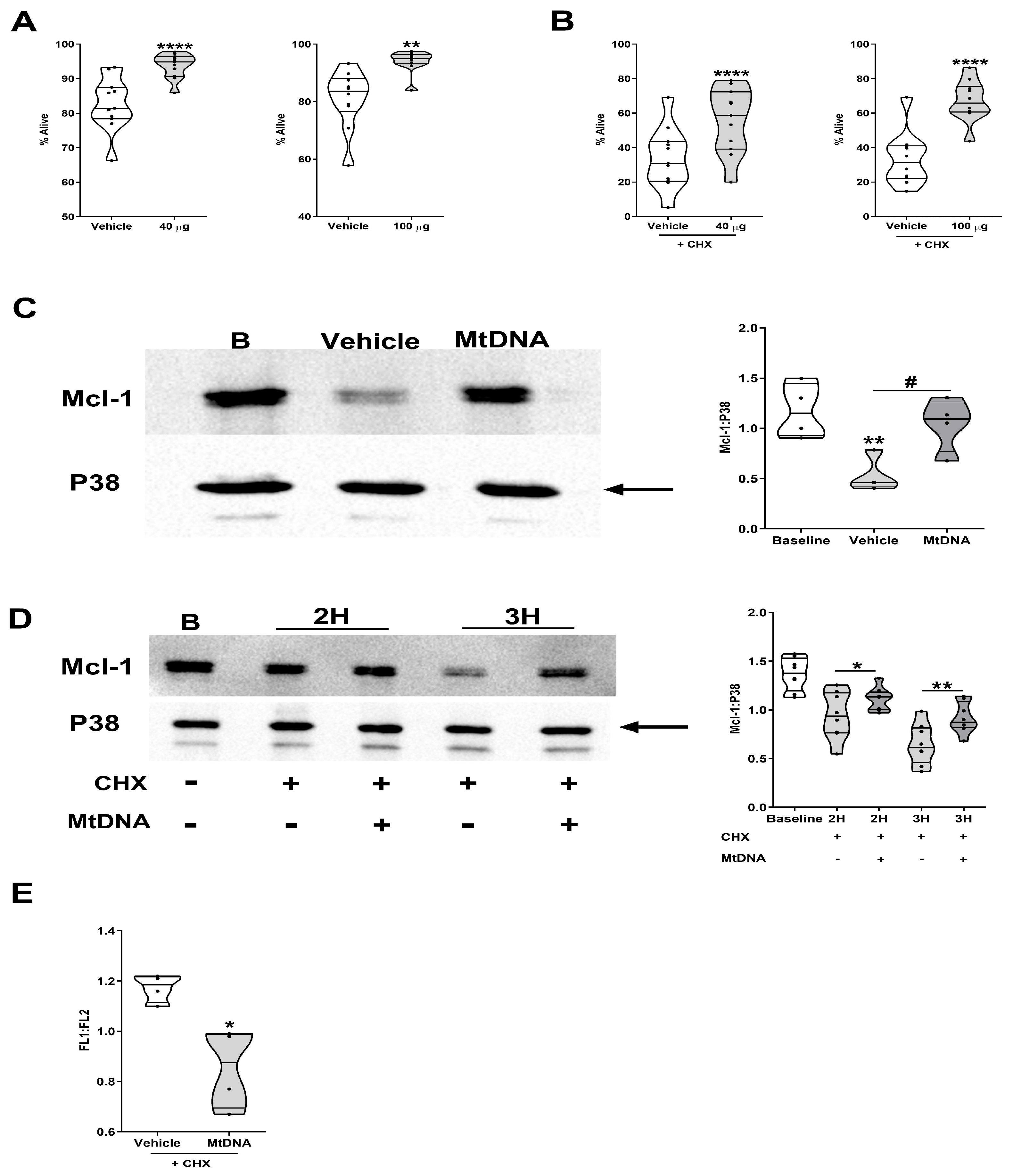 Cells 14 00754 g011 Cells 14 00754 g011